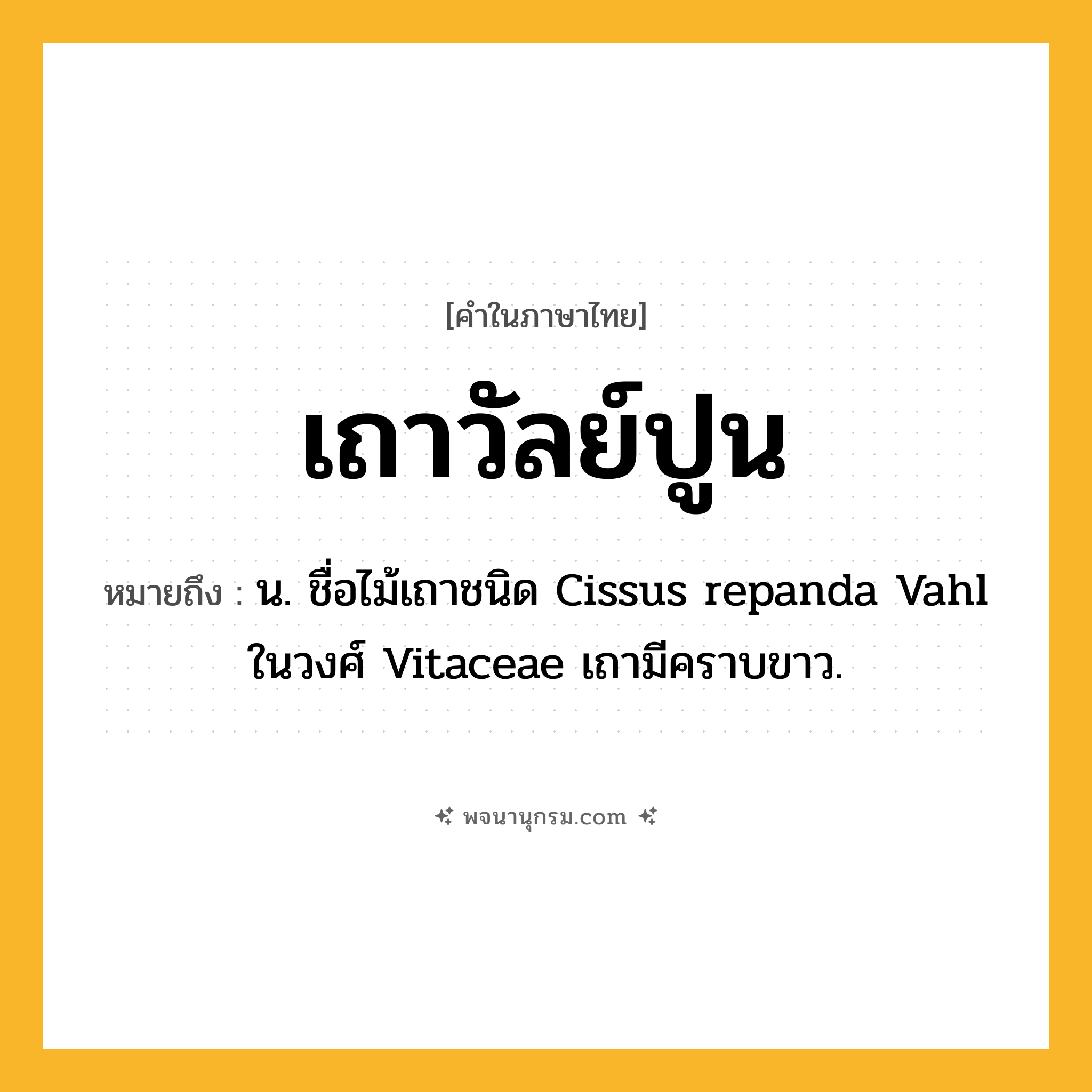 เถาวัลย์ปูน ความหมาย หมายถึงอะไร?, คำในภาษาไทย เถาวัลย์ปูน หมายถึง น. ชื่อไม้เถาชนิด Cissus repanda Vahl ในวงศ์ Vitaceae เถามีคราบขาว.