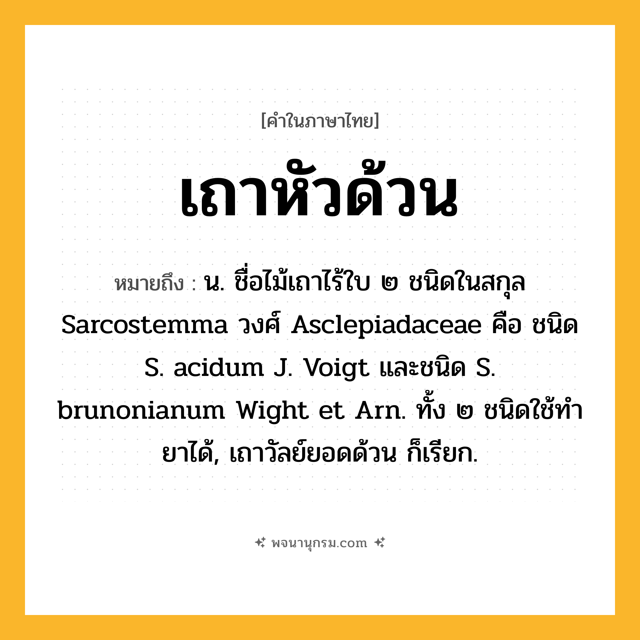 เถาหัวด้วน ความหมาย หมายถึงอะไร?, คำในภาษาไทย เถาหัวด้วน หมายถึง น. ชื่อไม้เถาไร้ใบ ๒ ชนิดในสกุล Sarcostemma วงศ์ Asclepiadaceae คือ ชนิด S. acidum J. Voigt และชนิด S. brunonianum Wight et Arn. ทั้ง ๒ ชนิดใช้ทำยาได้, เถาวัลย์ยอดด้วน ก็เรียก.