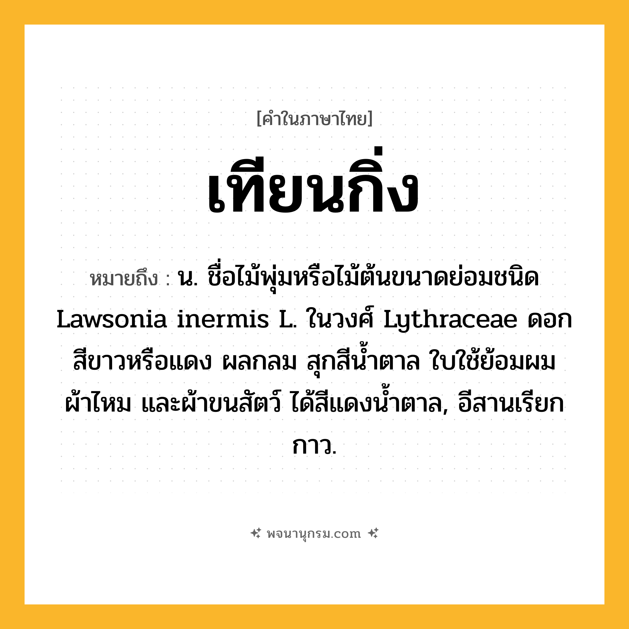 เทียนกิ่ง ความหมาย หมายถึงอะไร?, คำในภาษาไทย เทียนกิ่ง หมายถึง น. ชื่อไม้พุ่มหรือไม้ต้นขนาดย่อมชนิด Lawsonia inermis L. ในวงศ์ Lythraceae ดอกสีขาวหรือแดง ผลกลม สุกสีนํ้าตาล ใบใช้ย้อมผม ผ้าไหม และผ้าขนสัตว์ ได้สีแดงนํ้าตาล, อีสานเรียก กาว.