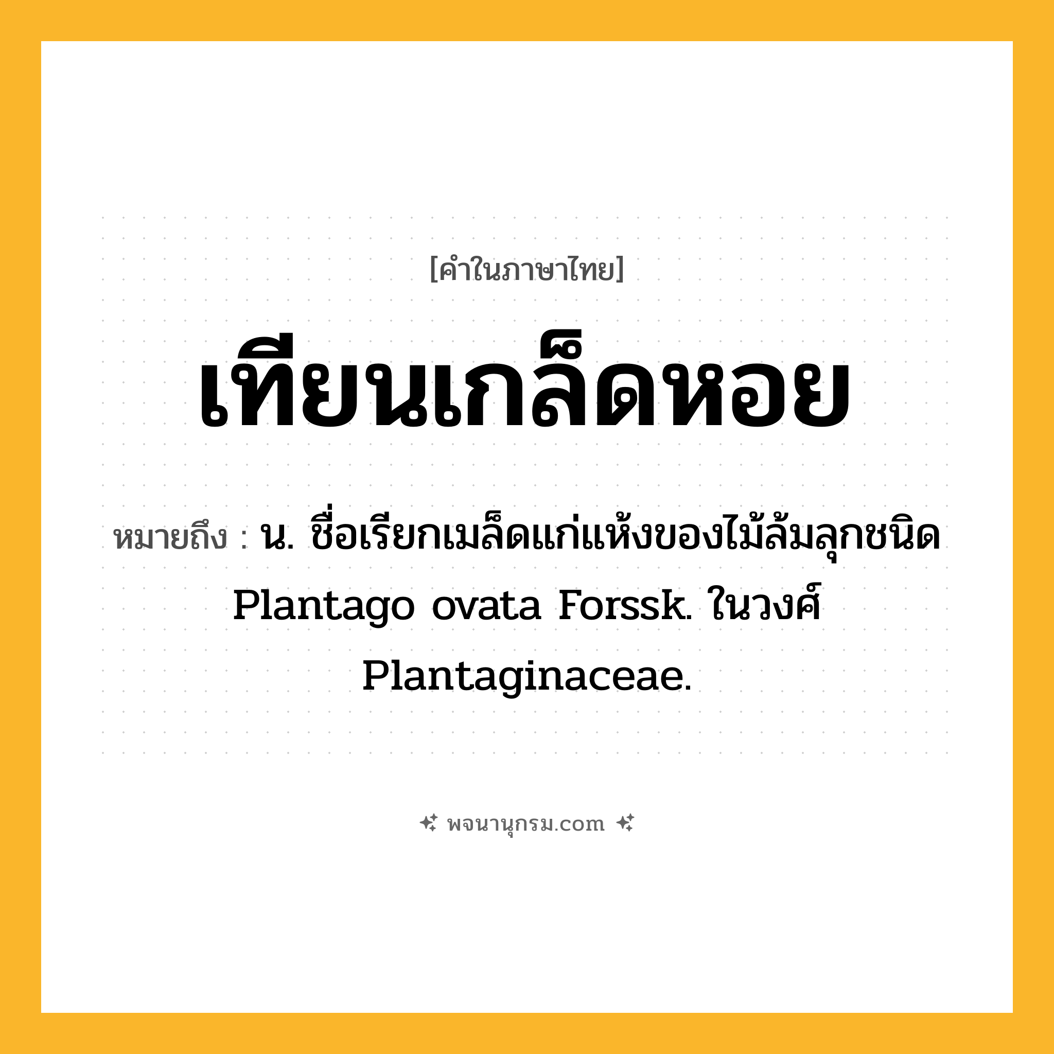 เทียนเกล็ดหอย ความหมาย หมายถึงอะไร?, คำในภาษาไทย เทียนเกล็ดหอย หมายถึง น. ชื่อเรียกเมล็ดแก่แห้งของไม้ล้มลุกชนิด Plantago ovata Forssk. ในวงศ์ Plantaginaceae.