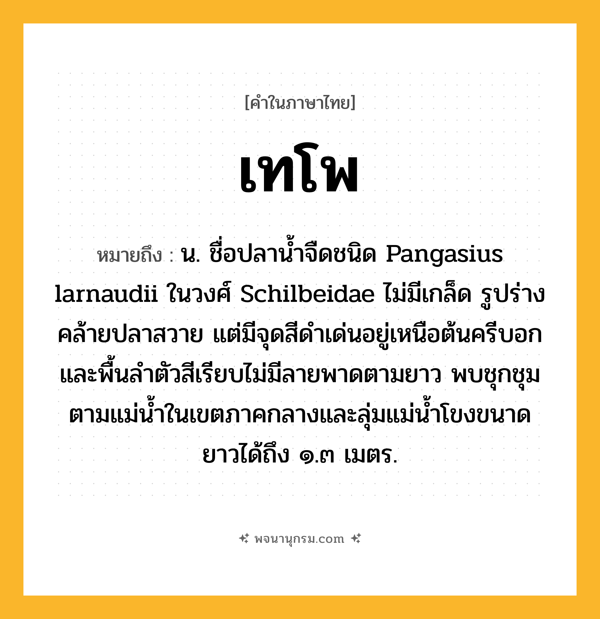 เทโพ ความหมาย หมายถึงอะไร?, คำในภาษาไทย เทโพ หมายถึง น. ชื่อปลานํ้าจืดชนิด Pangasius larnaudii ในวงศ์ Schilbeidae ไม่มีเกล็ด รูปร่างคล้ายปลาสวาย แต่มีจุดสีดําเด่นอยู่เหนือต้นครีบอก และพื้นลําตัวสีเรียบไม่มีลายพาดตามยาว พบชุกชุมตามแม่นํ้าในเขตภาคกลางและลุ่มแม่นํ้าโขงขนาดยาวได้ถึง ๑.๓ เมตร.