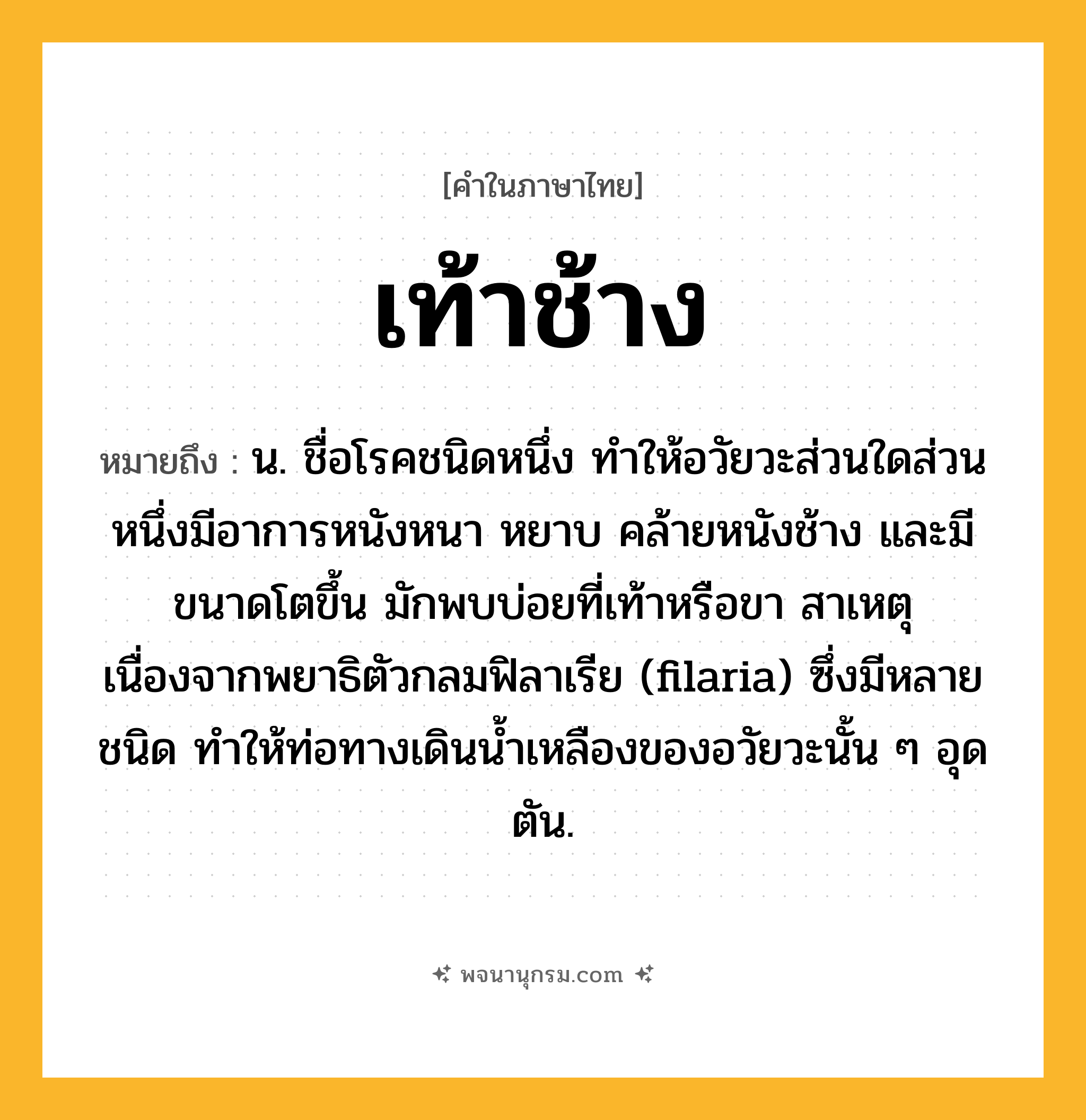 เท้าช้าง ความหมาย หมายถึงอะไร?, คำในภาษาไทย เท้าช้าง หมายถึง น. ชื่อโรคชนิดหนึ่ง ทําให้อวัยวะส่วนใดส่วนหนึ่งมีอาการหนังหนา หยาบ คล้ายหนังช้าง และมีขนาดโตขึ้น มักพบบ่อยที่เท้าหรือขา สาเหตุเนื่องจากพยาธิตัวกลมฟิลาเรีย (filaria) ซึ่งมีหลายชนิด ทําให้ท่อทางเดินนํ้าเหลืองของอวัยวะนั้น ๆ อุดตัน.