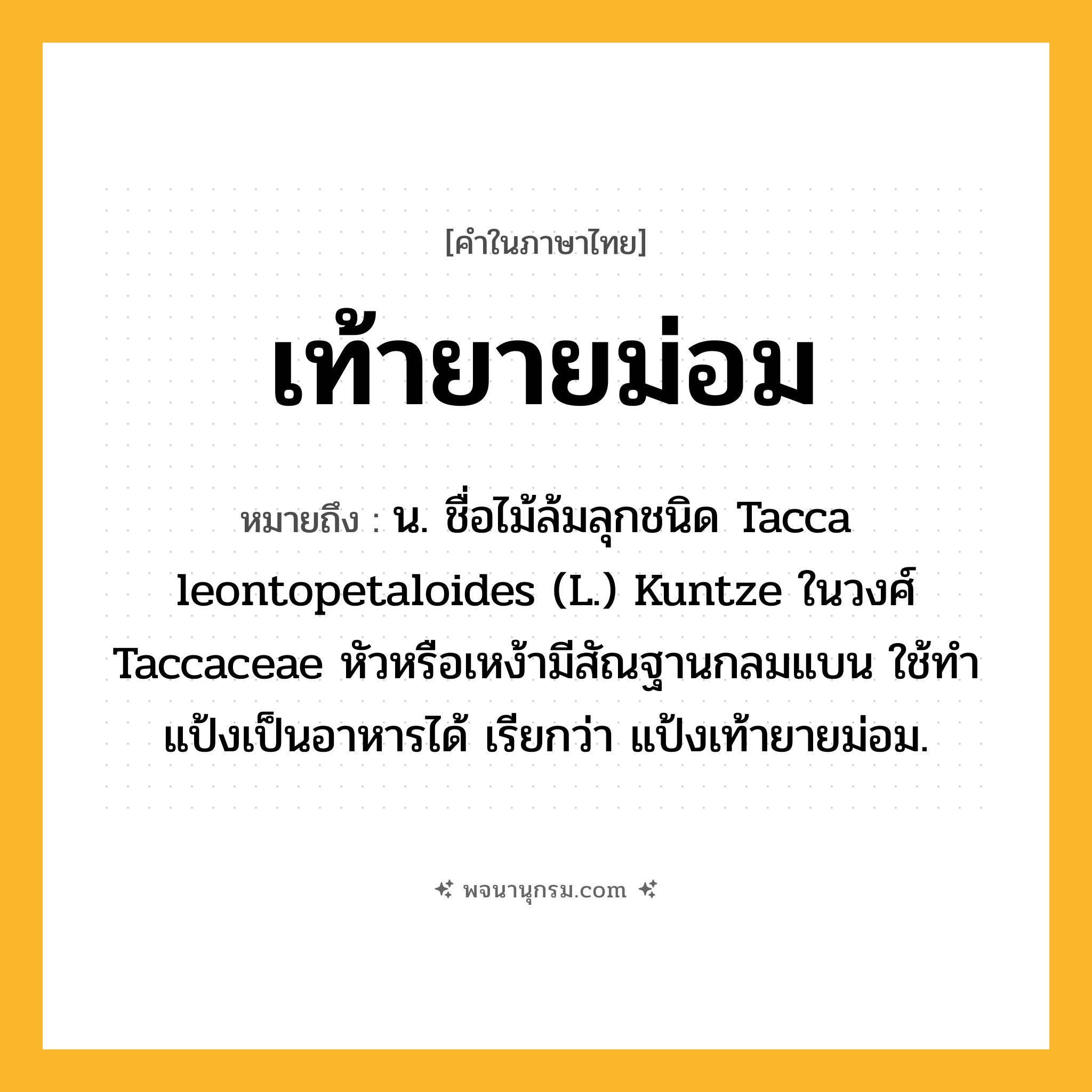 เท้ายายม่อม ความหมาย หมายถึงอะไร?, คำในภาษาไทย เท้ายายม่อม หมายถึง น. ชื่อไม้ล้มลุกชนิด Tacca leontopetaloides (L.) Kuntze ในวงศ์ Taccaceae หัวหรือเหง้ามีสัณฐานกลมแบน ใช้ทําแป้งเป็นอาหารได้ เรียกว่า แป้งเท้ายายม่อม.