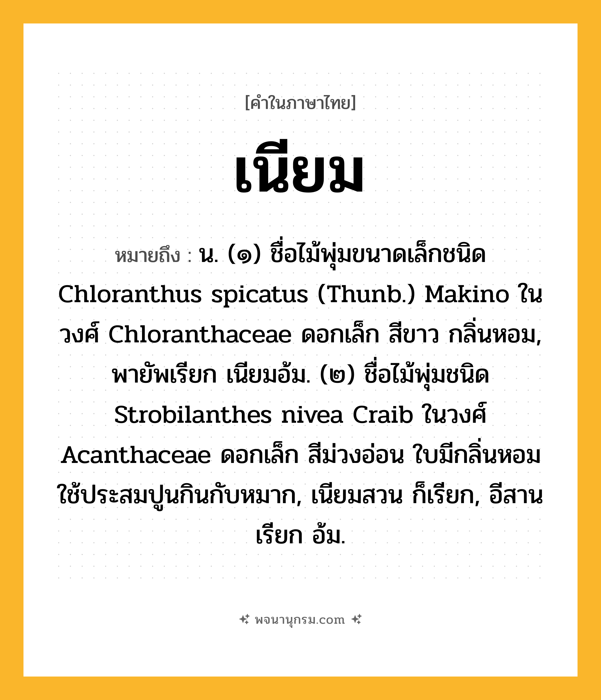 เนียม ความหมาย หมายถึงอะไร?, คำในภาษาไทย เนียม หมายถึง น. (๑) ชื่อไม้พุ่มขนาดเล็กชนิด Chloranthus spicatus (Thunb.) Makino ในวงศ์ Chloranthaceae ดอกเล็ก สีขาว กลิ่นหอม, พายัพเรียก เนียมอ้ม. (๒) ชื่อไม้พุ่มชนิด Strobilanthes nivea Craib ในวงศ์ Acanthaceae ดอกเล็ก สีม่วงอ่อน ใบมีกลิ่นหอมใช้ประสมปูนกินกับหมาก, เนียมสวน ก็เรียก, อีสานเรียก อ้ม.