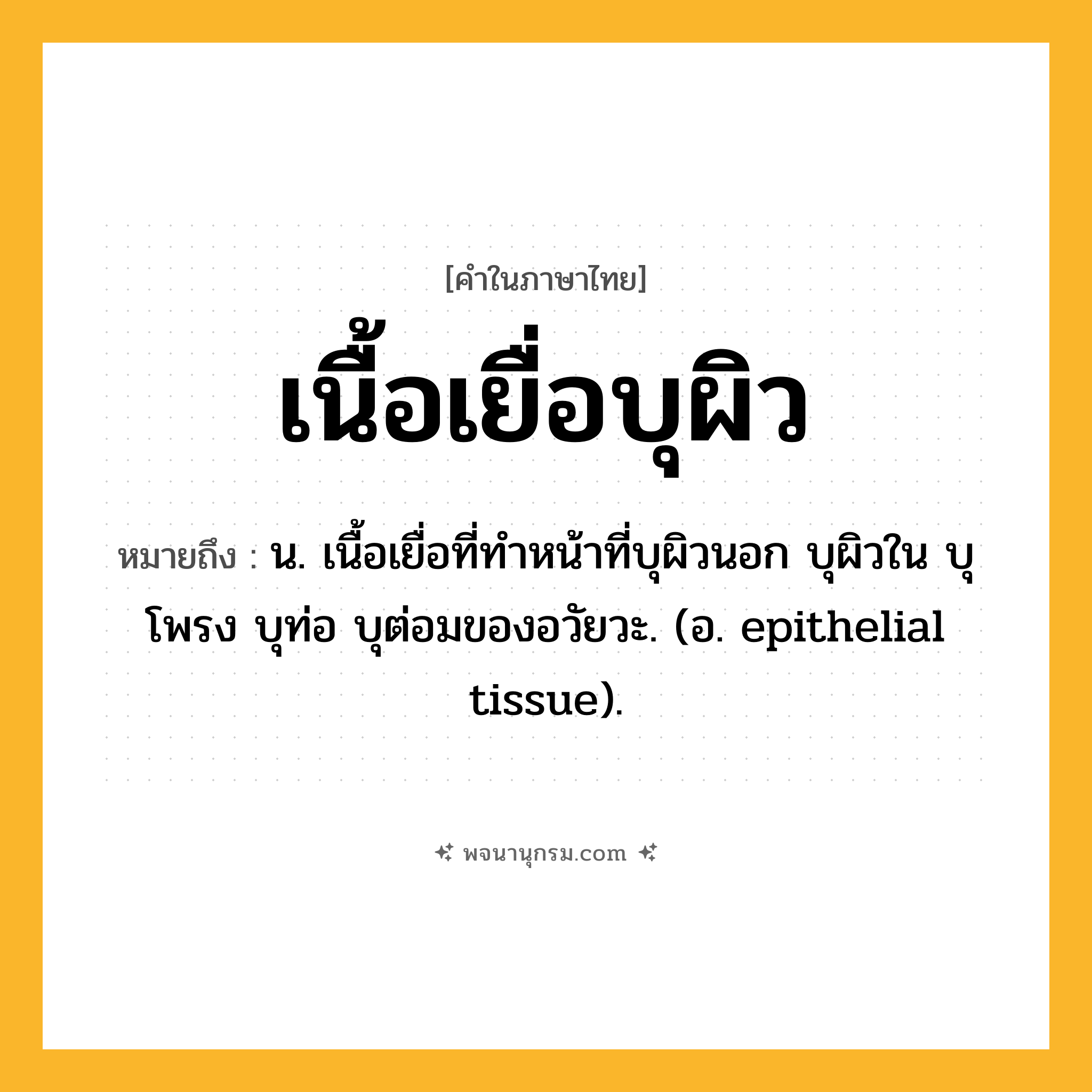 เนื้อเยื่อบุผิว ความหมาย หมายถึงอะไร?, คำในภาษาไทย เนื้อเยื่อบุผิว หมายถึง น. เนื้อเยื่อที่ทําหน้าที่บุผิวนอก บุผิวใน บุโพรง บุท่อ บุต่อมของอวัยวะ. (อ. epithelial tissue).