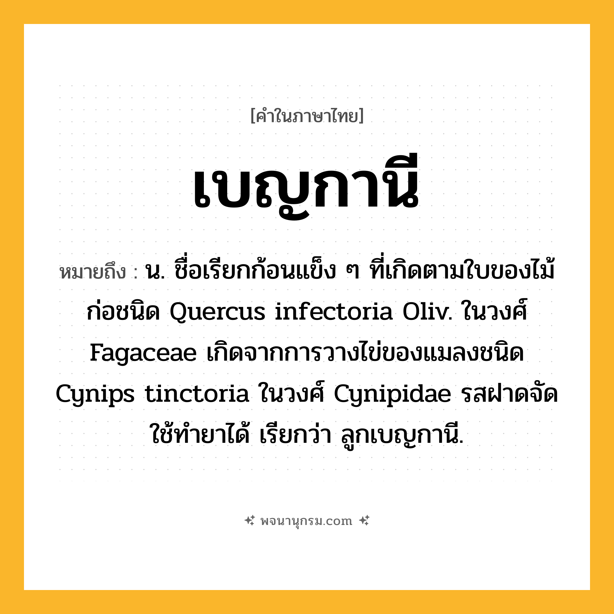 เบญกานี ความหมาย หมายถึงอะไร?, คำในภาษาไทย เบญกานี หมายถึง น. ชื่อเรียกก้อนแข็ง ๆ ที่เกิดตามใบของไม้ก่อชนิด Quercus infectoria Oliv. ในวงศ์ Fagaceae เกิดจากการวางไข่ของแมลงชนิด Cynips tinctoria ในวงศ์ Cynipidae รสฝาดจัด ใช้ทํายาได้ เรียกว่า ลูกเบญกานี.