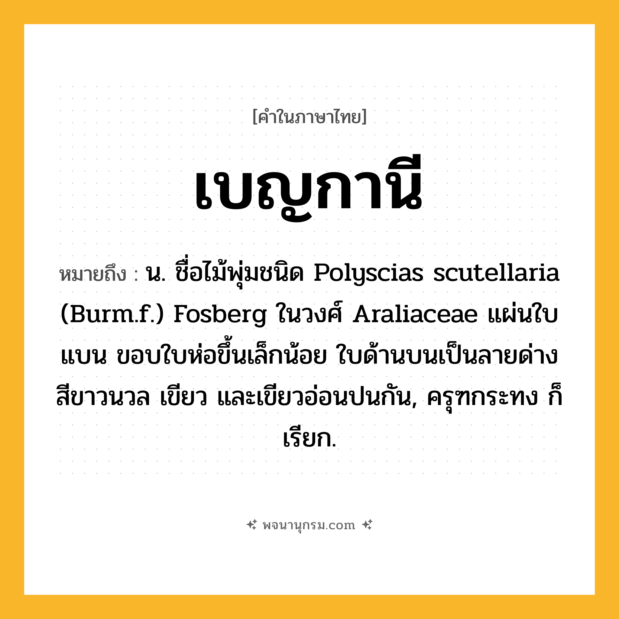 เบญกานี ความหมาย หมายถึงอะไร?, คำในภาษาไทย เบญกานี หมายถึง น. ชื่อไม้พุ่มชนิด Polyscias scutellaria (Burm.f.) Fosberg ในวงศ์ Araliaceae แผ่นใบแบน ขอบใบห่อขึ้นเล็กน้อย ใบด้านบนเป็นลายด่างสีขาวนวล เขียว และเขียวอ่อนปนกัน, ครุฑกระทง ก็เรียก.