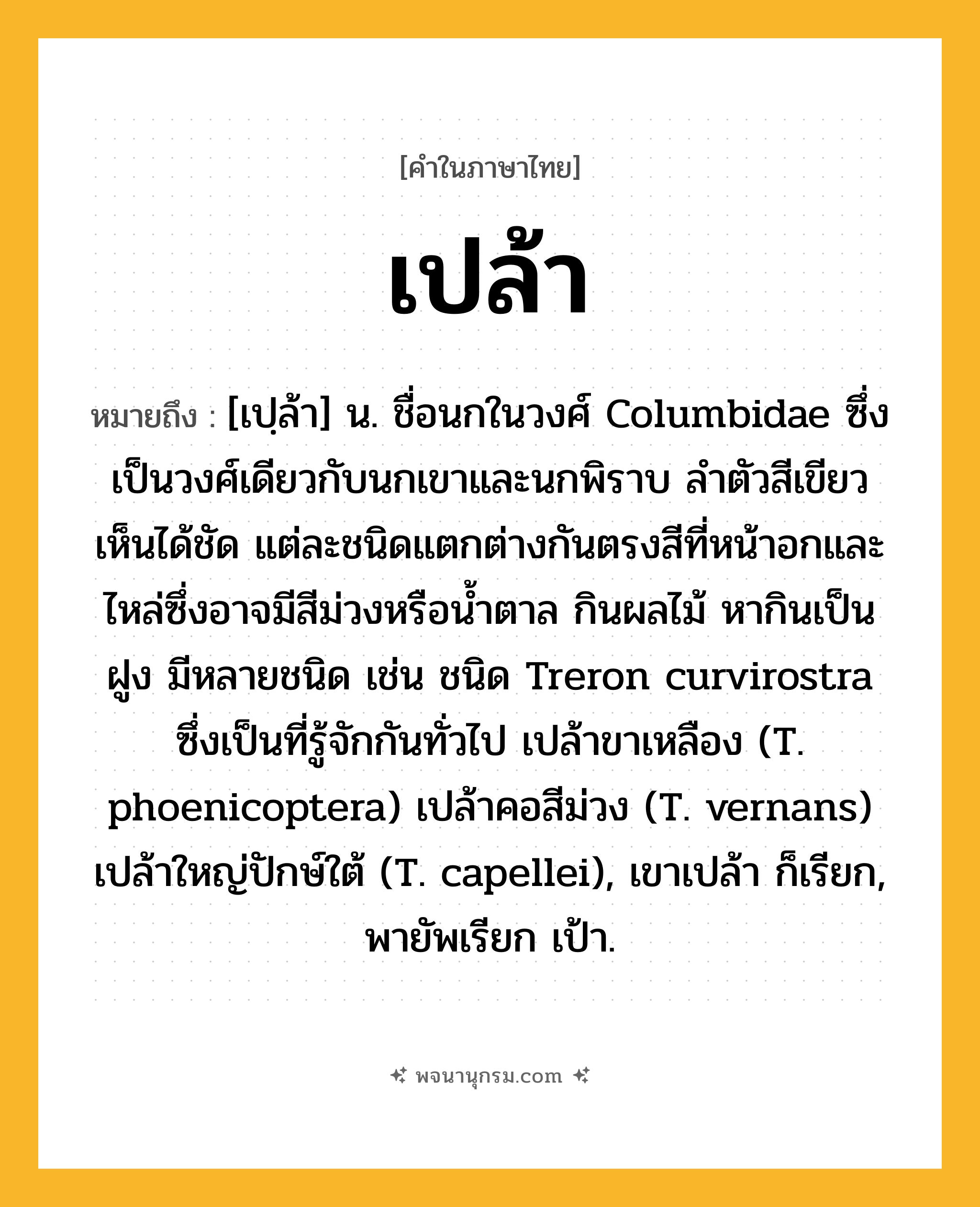 เปล้า ความหมาย หมายถึงอะไร?, คำในภาษาไทย เปล้า หมายถึง [เปฺล้า] น. ชื่อนกในวงศ์ Columbidae ซึ่งเป็นวงศ์เดียวกับนกเขาและนกพิราบ ลําตัวสีเขียวเห็นได้ชัด แต่ละชนิดแตกต่างกันตรงสีที่หน้าอกและไหล่ซึ่งอาจมีสีม่วงหรือนํ้าตาล กินผลไม้ หากินเป็นฝูง มีหลายชนิด เช่น ชนิด Treron curvirostra ซึ่งเป็นที่รู้จักกันทั่วไป เปล้าขาเหลือง (T. phoenicoptera) เปล้าคอสีม่วง (T. vernans) เปล้าใหญ่ปักษ์ใต้ (T. capellei), เขาเปล้า ก็เรียก, พายัพเรียก เป้า.