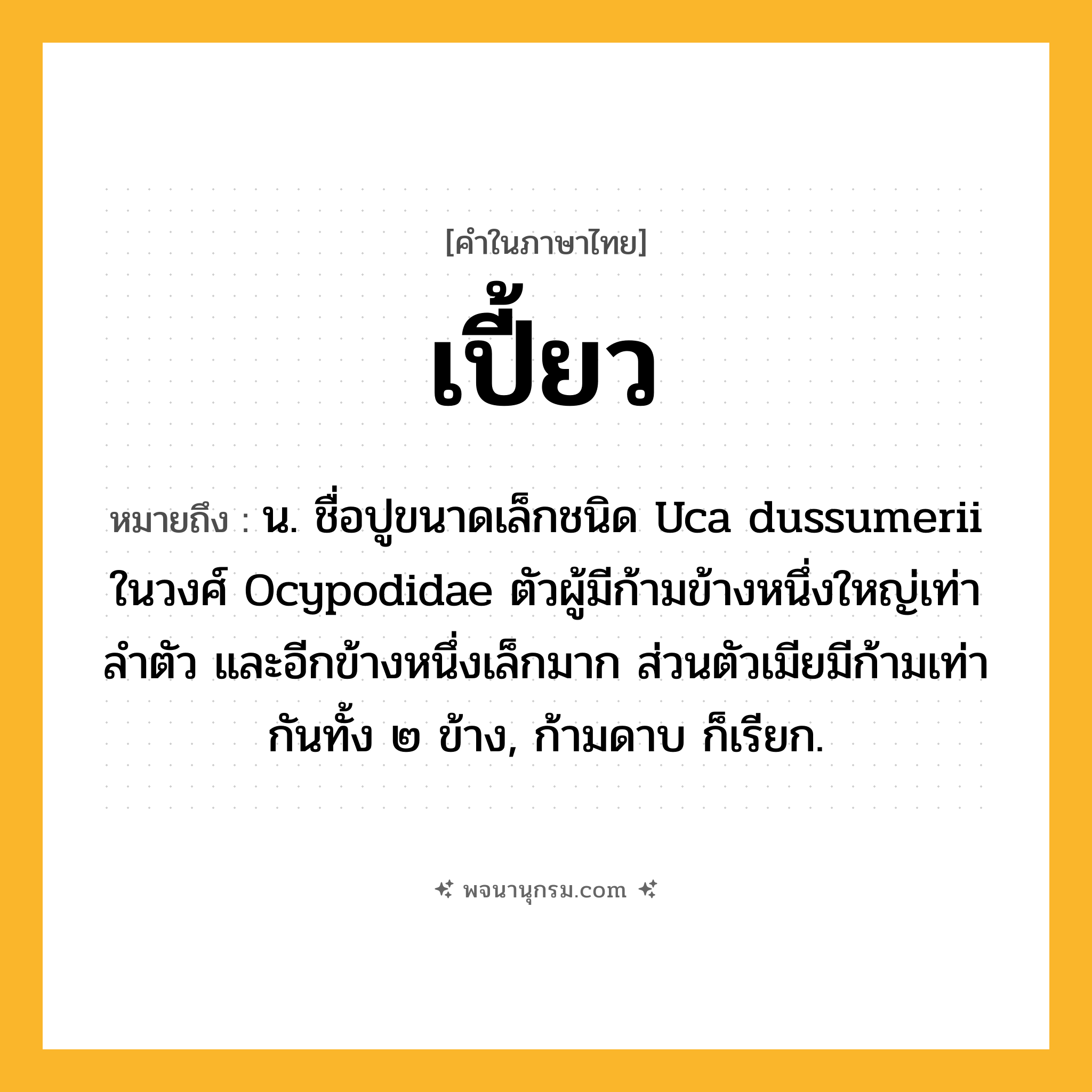 เปี้ยว ความหมาย หมายถึงอะไร?, คำในภาษาไทย เปี้ยว หมายถึง น. ชื่อปูขนาดเล็กชนิด Uca dussumerii ในวงศ์ Ocypodidae ตัวผู้มีก้ามข้างหนึ่งใหญ่เท่าลําตัว และอีกข้างหนึ่งเล็กมาก ส่วนตัวเมียมีก้ามเท่ากันทั้ง ๒ ข้าง, ก้ามดาบ ก็เรียก.