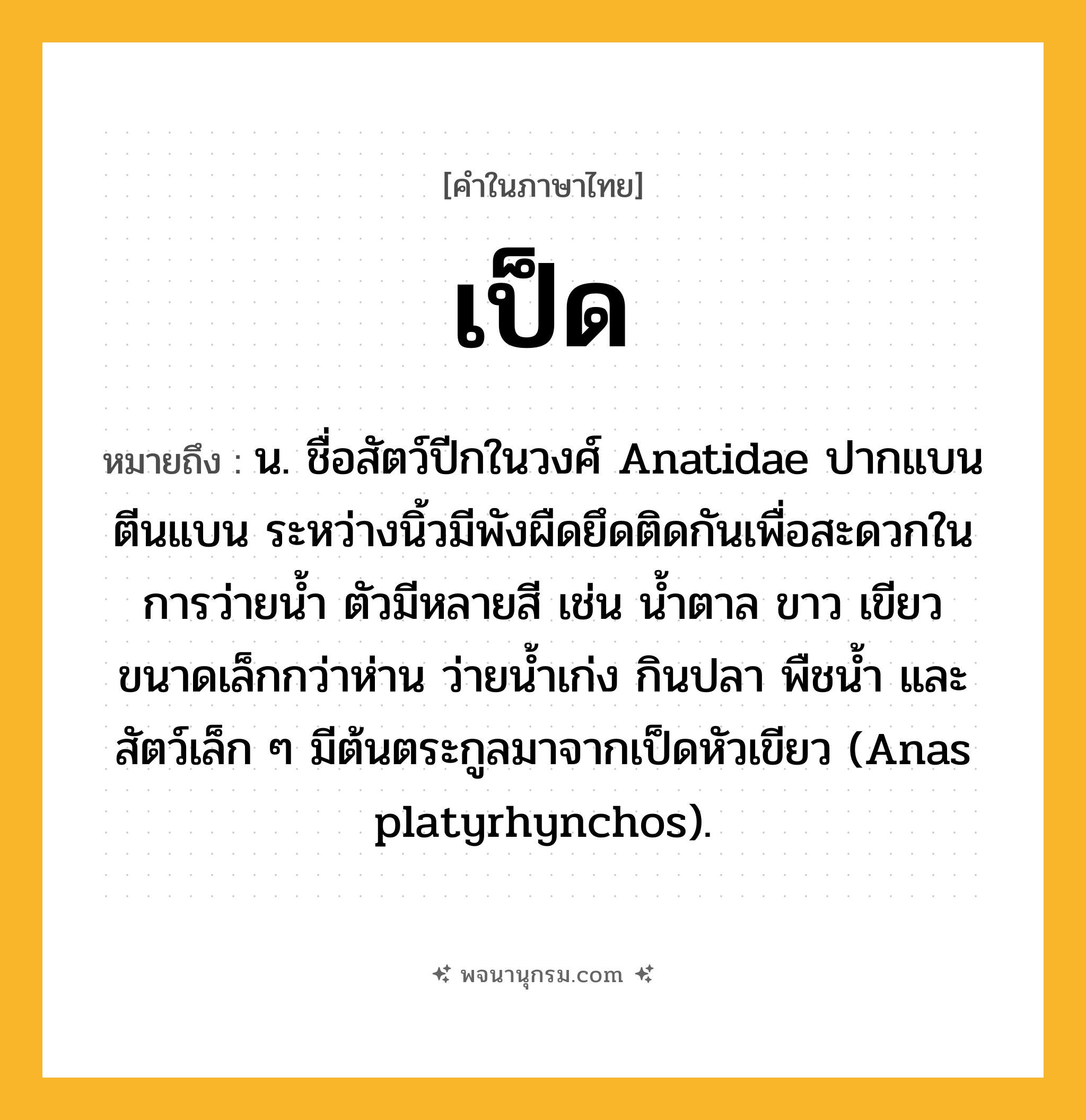 เป็ด ความหมาย หมายถึงอะไร?, คำในภาษาไทย เป็ด หมายถึง น. ชื่อสัตว์ปีกในวงศ์ Anatidae ปากแบน ตีนแบน ระหว่างนิ้วมีพังผืดยึดติดกันเพื่อสะดวกในการว่ายนํ้า ตัวมีหลายสี เช่น นํ้าตาล ขาว เขียว ขนาดเล็กกว่าห่าน ว่ายนํ้าเก่ง กินปลา พืชนํ้า และสัตว์เล็ก ๆ มีต้นตระกูลมาจากเป็ดหัวเขียว (Anas platyrhynchos).