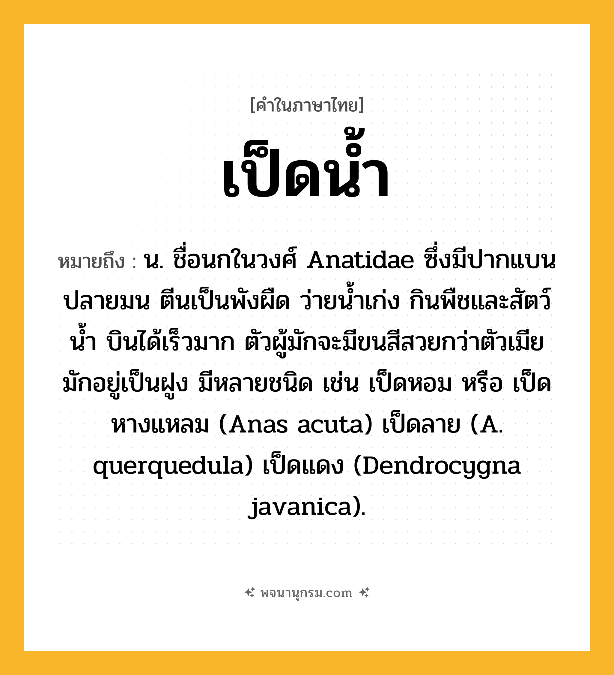 เป็ดน้ำ ความหมาย หมายถึงอะไร?, คำในภาษาไทย เป็ดน้ำ หมายถึง น. ชื่อนกในวงศ์ Anatidae ซึ่งมีปากแบน ปลายมน ตีนเป็นพังผืด ว่ายนํ้าเก่ง กินพืชและสัตว์นํ้า บินได้เร็วมาก ตัวผู้มักจะมีขนสีสวยกว่าตัวเมีย มักอยู่เป็นฝูง มีหลายชนิด เช่น เป็ดหอม หรือ เป็ดหางแหลม (Anas acuta) เป็ดลาย (A. querquedula) เป็ดแดง (Dendrocygna javanica).