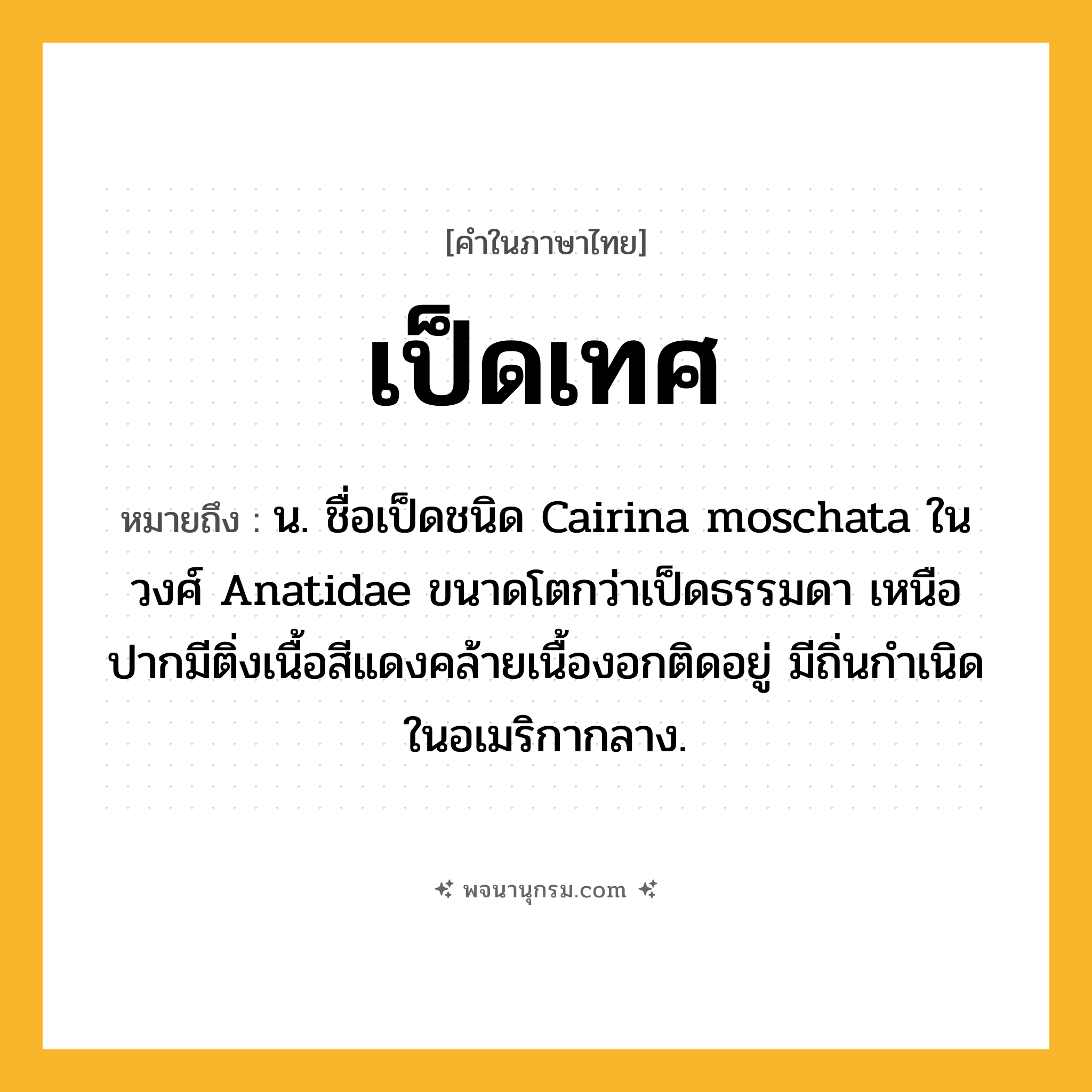 เป็ดเทศ ความหมาย หมายถึงอะไร?, คำในภาษาไทย เป็ดเทศ หมายถึง น. ชื่อเป็ดชนิด Cairina moschata ในวงศ์ Anatidae ขนาดโตกว่าเป็ดธรรมดา เหนือปากมีติ่งเนื้อสีแดงคล้ายเนื้องอกติดอยู่ มีถิ่นกําเนิดในอเมริกากลาง.