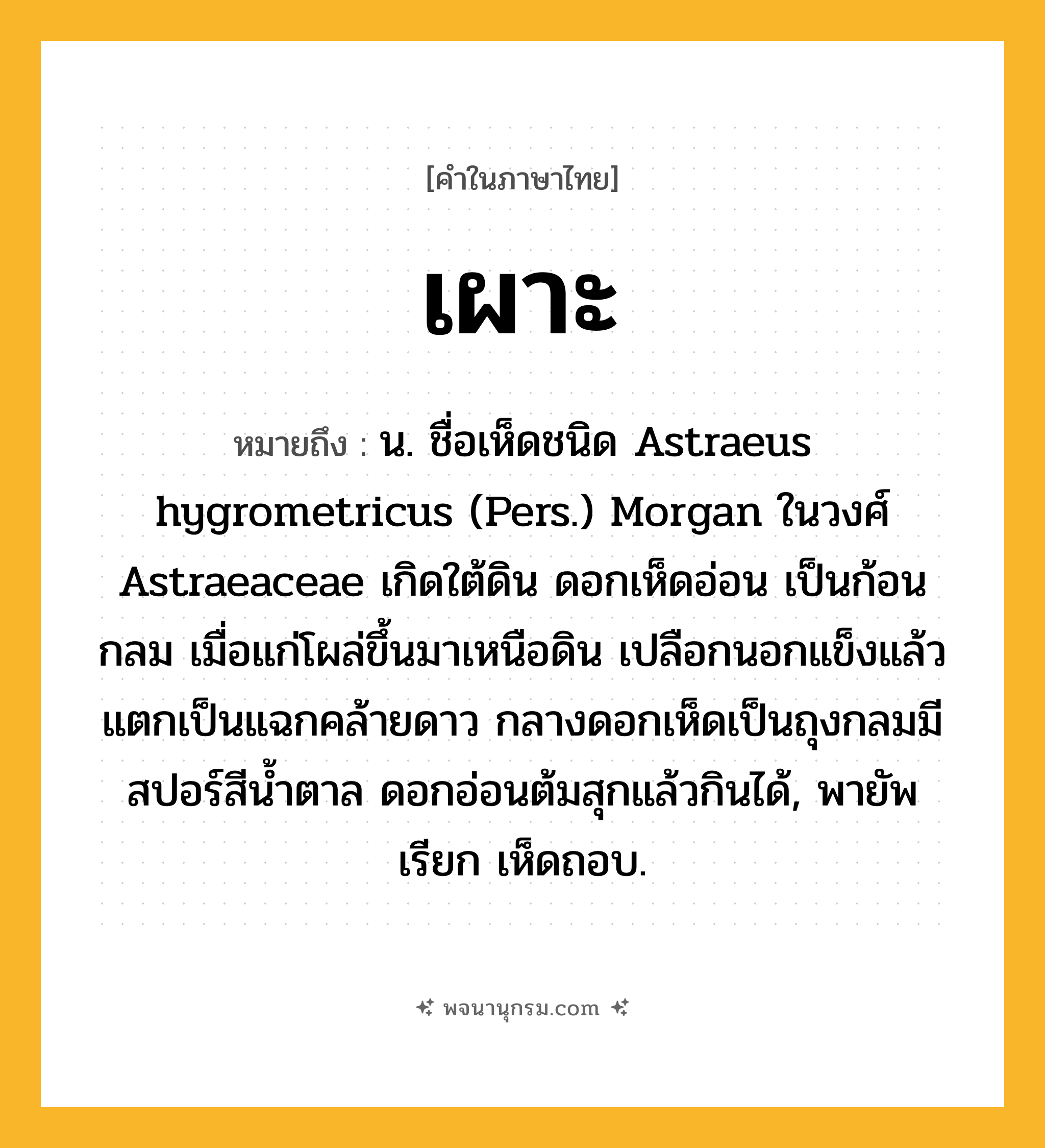 เผาะ ความหมาย หมายถึงอะไร?, คำในภาษาไทย เผาะ หมายถึง น. ชื่อเห็ดชนิด Astraeus hygrometricus (Pers.) Morgan ในวงศ์ Astraeaceae เกิดใต้ดิน ดอกเห็ดอ่อน เป็นก้อนกลม เมื่อแก่โผล่ขึ้นมาเหนือดิน เปลือกนอกแข็งแล้วแตกเป็นแฉกคล้ายดาว กลางดอกเห็ดเป็นถุงกลมมีสปอร์สีนํ้าตาล ดอกอ่อนต้มสุกแล้วกินได้, พายัพเรียก เห็ดถอบ.