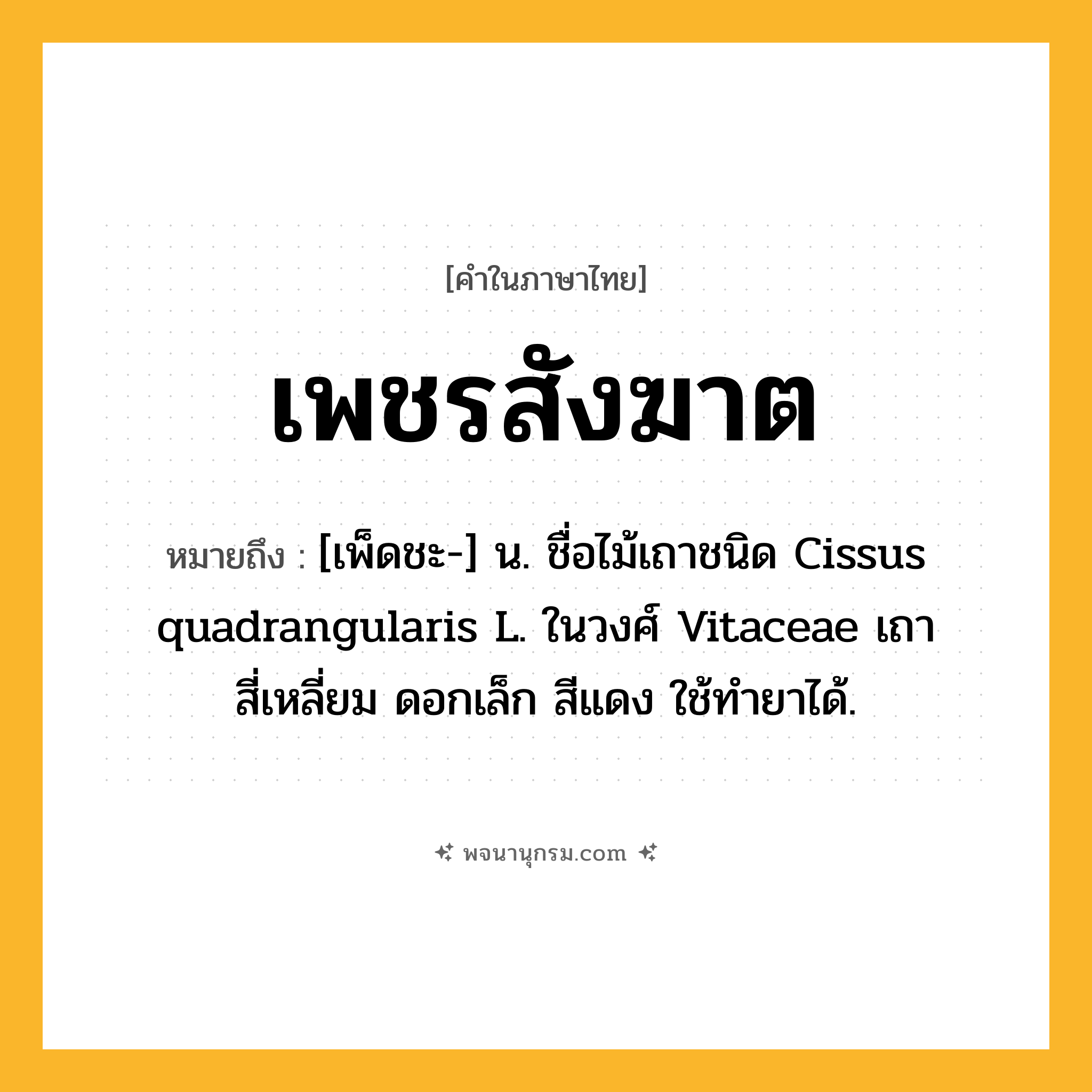 เพชรสังฆาต ความหมาย หมายถึงอะไร?, คำในภาษาไทย เพชรสังฆาต หมายถึง [เพ็ดชะ-] น. ชื่อไม้เถาชนิด Cissus quadrangularis L. ในวงศ์ Vitaceae เถาสี่เหลี่ยม ดอกเล็ก สีแดง ใช้ทํายาได้.