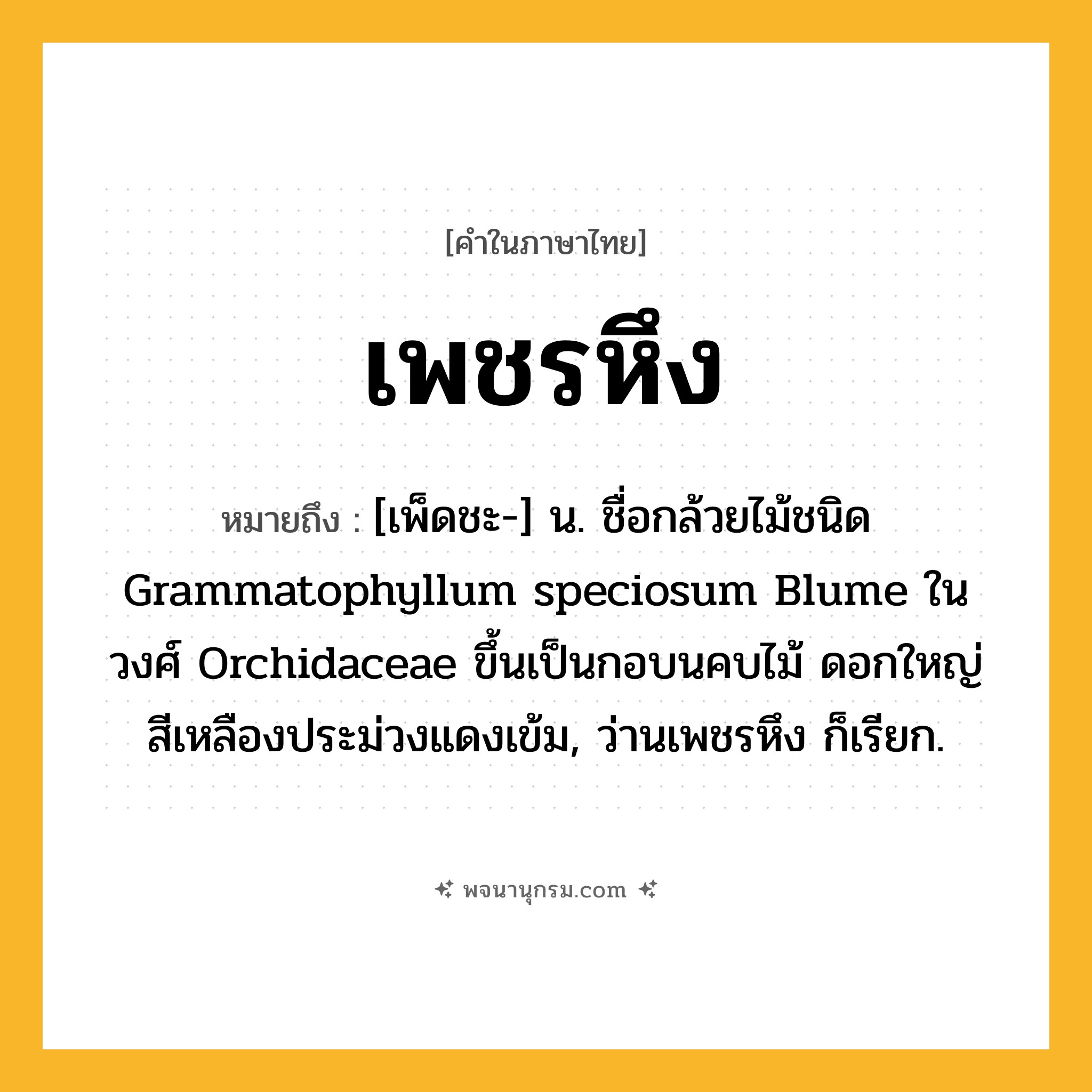 เพชรหึง ความหมาย หมายถึงอะไร?, คำในภาษาไทย เพชรหึง หมายถึง [เพ็ดชะ-] น. ชื่อกล้วยไม้ชนิด Grammatophyllum speciosum Blume ในวงศ์ Orchidaceae ขึ้นเป็นกอบนคบไม้ ดอกใหญ่ สีเหลืองประม่วงแดงเข้ม, ว่านเพชรหึง ก็เรียก.