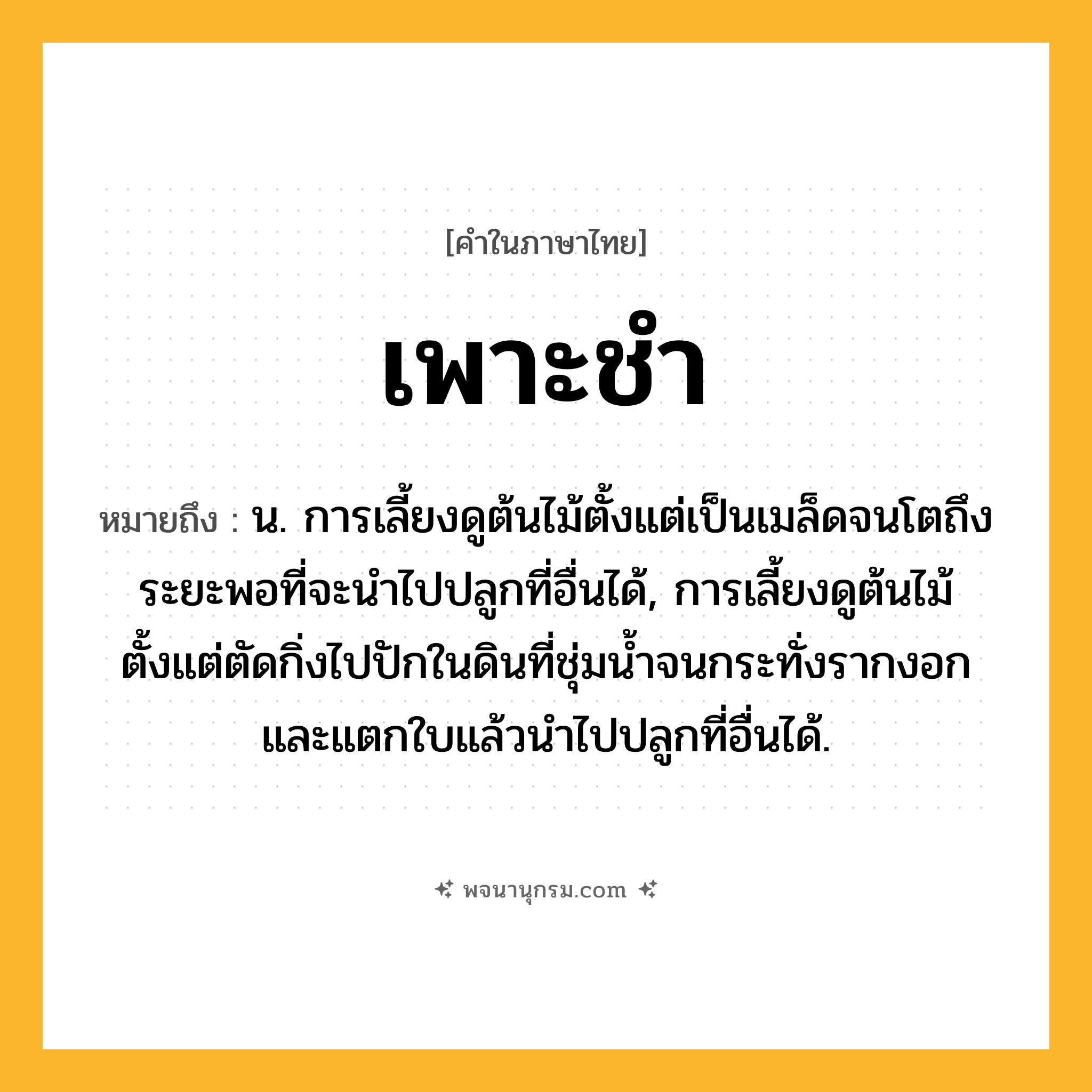 เพาะชำ ความหมาย หมายถึงอะไร?, คำในภาษาไทย เพาะชำ หมายถึง น. การเลี้ยงดูต้นไม้ตั้งแต่เป็นเมล็ดจนโตถึงระยะพอที่จะนำไปปลูกที่อื่นได้, การเลี้ยงดูต้นไม้ตั้งแต่ตัดกิ่งไปปักในดินที่ชุ่มน้ำจนกระทั่งรากงอกและแตกใบแล้วนำไปปลูกที่อื่นได้.