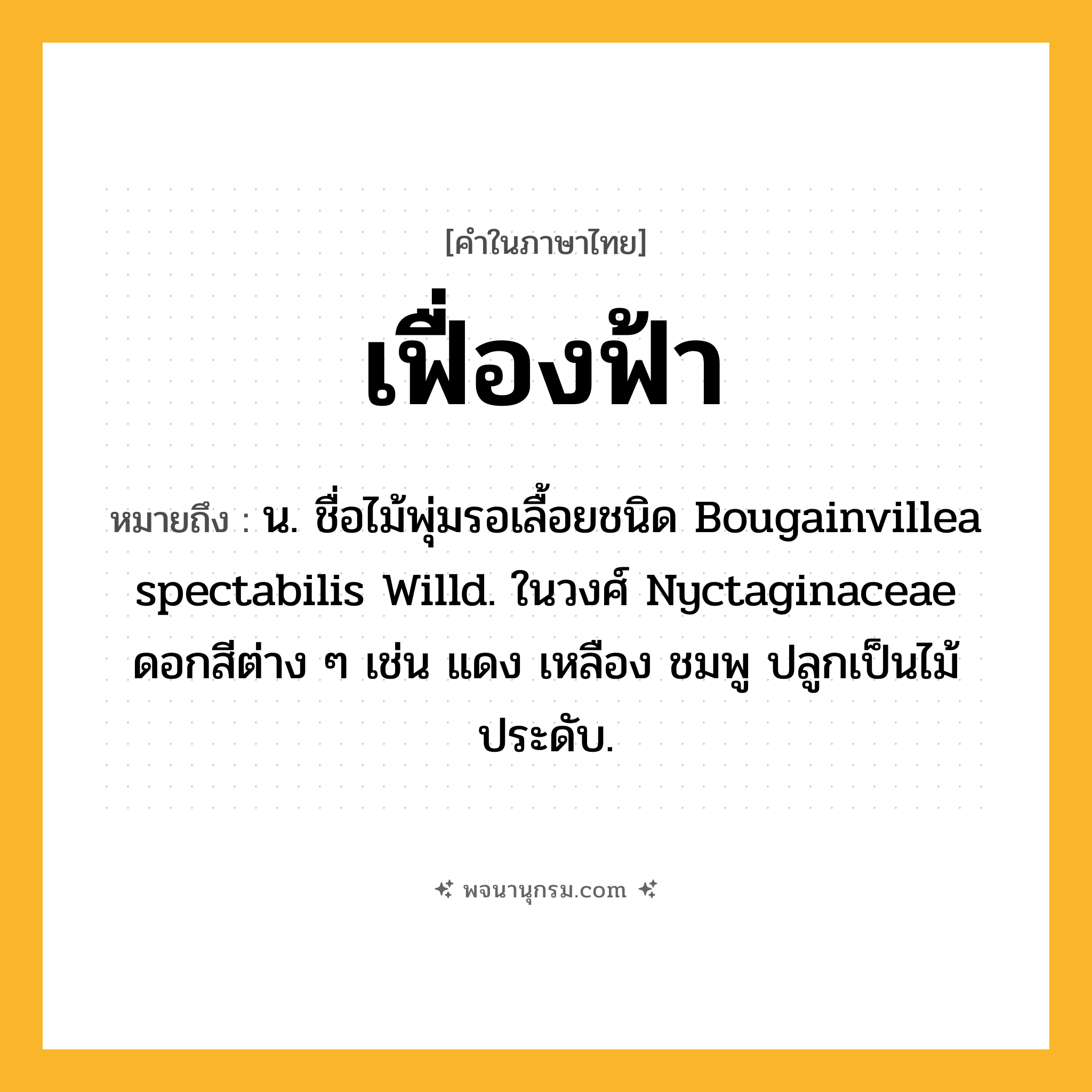 เฟื่องฟ้า ความหมาย หมายถึงอะไร?, คำในภาษาไทย เฟื่องฟ้า หมายถึง น. ชื่อไม้พุ่มรอเลื้อยชนิด Bougainvillea spectabilis Willd. ในวงศ์ Nyctaginaceae ดอกสีต่าง ๆ เช่น แดง เหลือง ชมพู ปลูกเป็นไม้ประดับ.