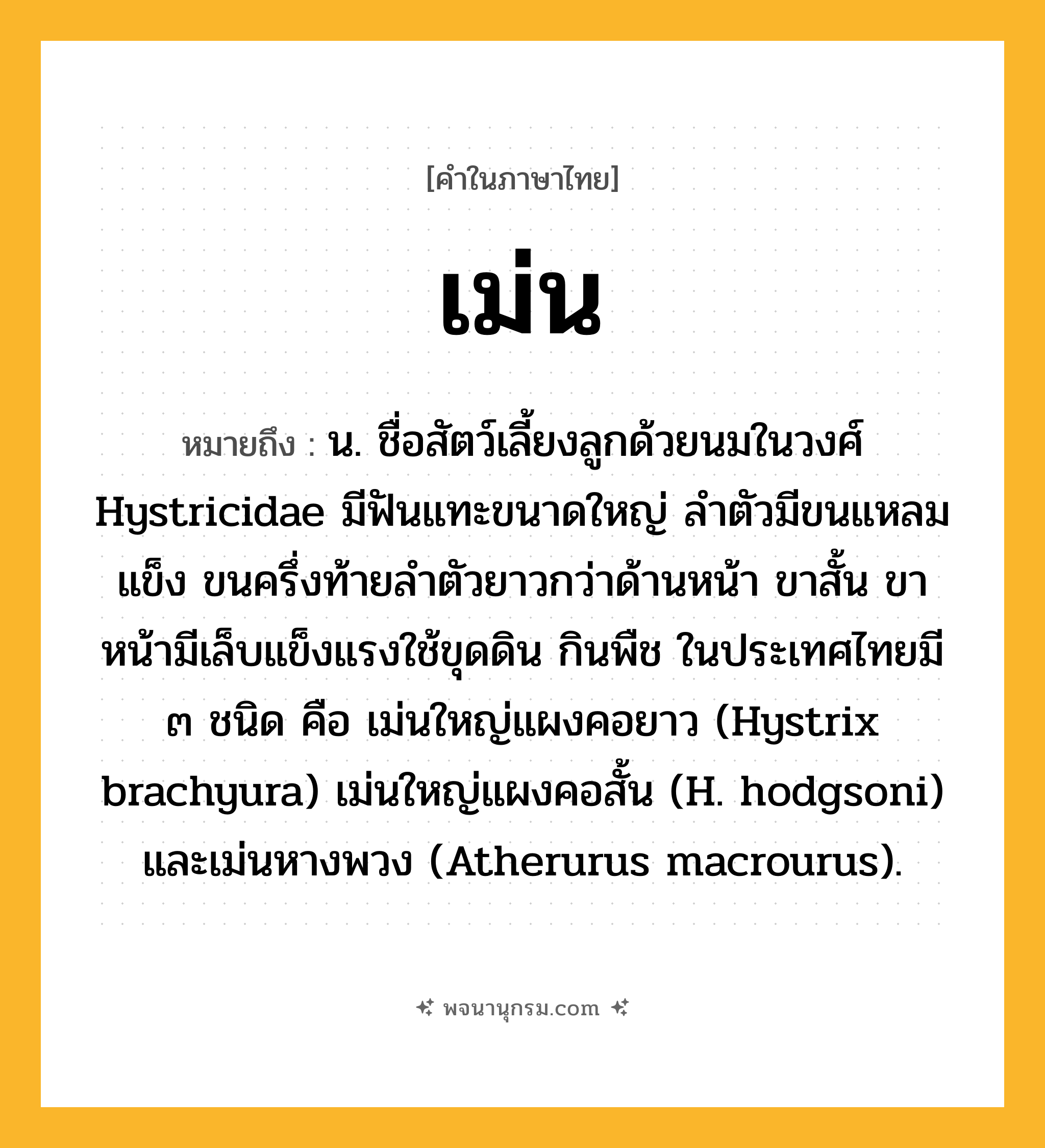 เม่น ความหมาย หมายถึงอะไร?, คำในภาษาไทย เม่น หมายถึง น. ชื่อสัตว์เลี้ยงลูกด้วยนมในวงศ์ Hystricidae มีฟันแทะขนาดใหญ่ ลําตัวมีขนแหลมแข็ง ขนครึ่งท้ายลำตัวยาวกว่าด้านหน้า ขาสั้น ขาหน้ามีเล็บแข็งแรงใช้ขุดดิน กินพืช ในประเทศไทยมี ๓ ชนิด คือ เม่นใหญ่แผงคอยาว (Hystrix brachyura) เม่นใหญ่แผงคอสั้น (H. hodgsoni) และเม่นหางพวง (Atherurus macrourus).