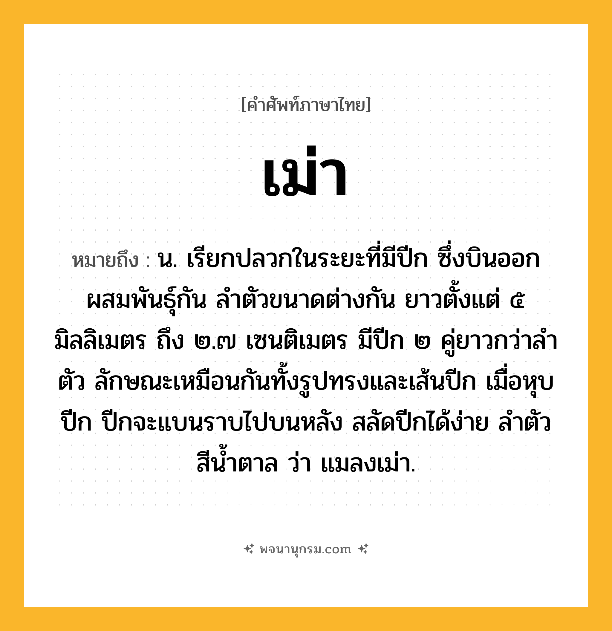 เม่า ความหมาย หมายถึงอะไร?, คำในภาษาไทย เม่า หมายถึง น. เรียกปลวกในระยะที่มีปีก ซึ่งบินออกผสมพันธุ์กัน ลําตัวขนาดต่างกัน ยาวตั้งแต่ ๕ มิลลิเมตร ถึง ๒.๗ เซนติเมตร มีปีก ๒ คู่ยาวกว่าลําตัว ลักษณะเหมือนกันทั้งรูปทรงและเส้นปีก เมื่อหุบปีก ปีกจะแบนราบไปบนหลัง สลัดปีกได้ง่าย ลําตัวสีนํ้าตาล ว่า แมลงเม่า.