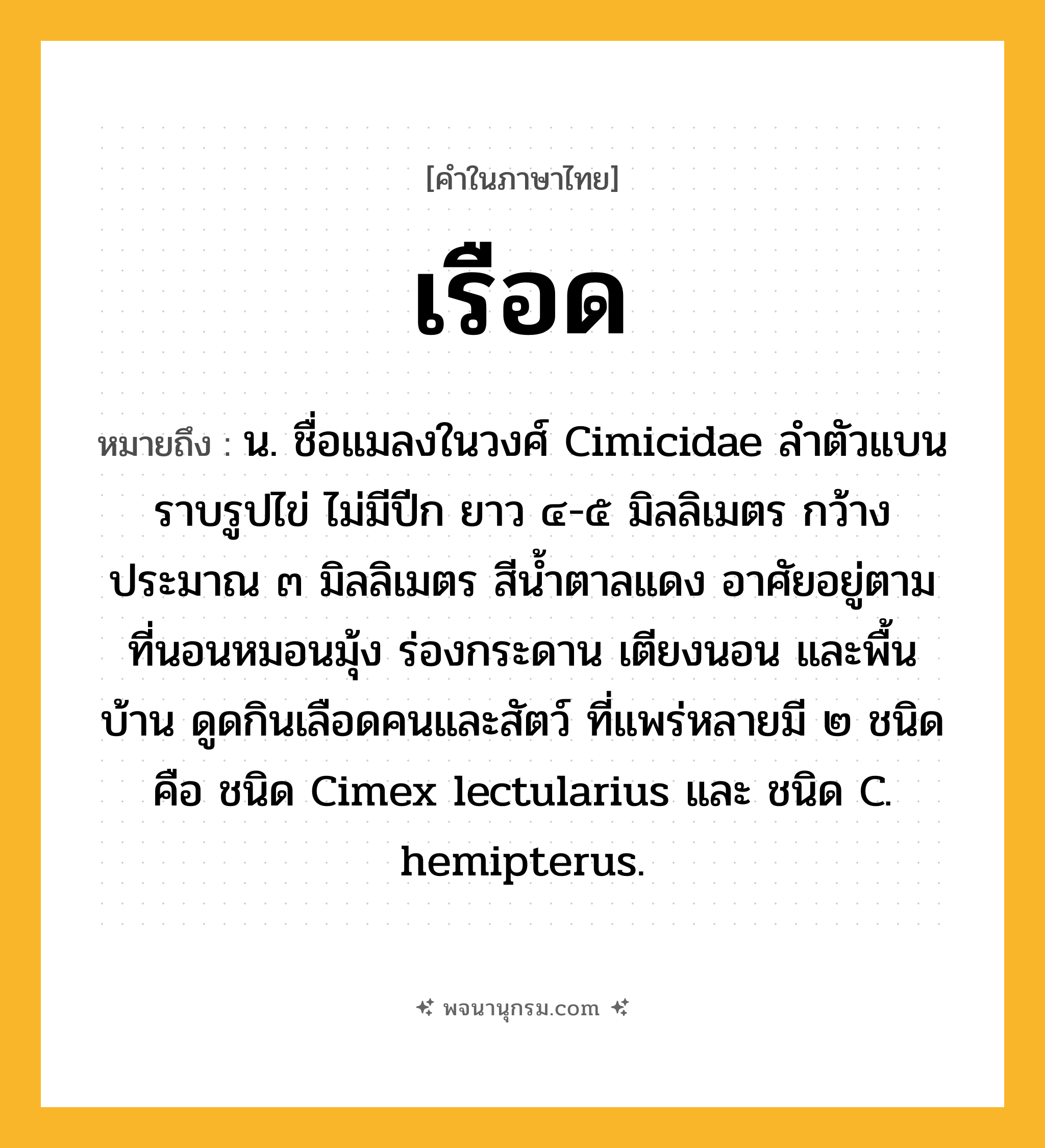เรือด ความหมาย หมายถึงอะไร?, คำในภาษาไทย เรือด หมายถึง น. ชื่อแมลงในวงศ์ Cimicidae ลําตัวแบนราบรูปไข่ ไม่มีปีก ยาว ๔-๕ มิลลิเมตร กว้างประมาณ ๓ มิลลิเมตร สีนํ้าตาลแดง อาศัยอยู่ตามที่นอนหมอนมุ้ง ร่องกระดาน เตียงนอน และพื้นบ้าน ดูดกินเลือดคนและสัตว์ ที่แพร่หลายมี ๒ ชนิด คือ ชนิด Cimex lectularius และ ชนิด C. hemipterus.