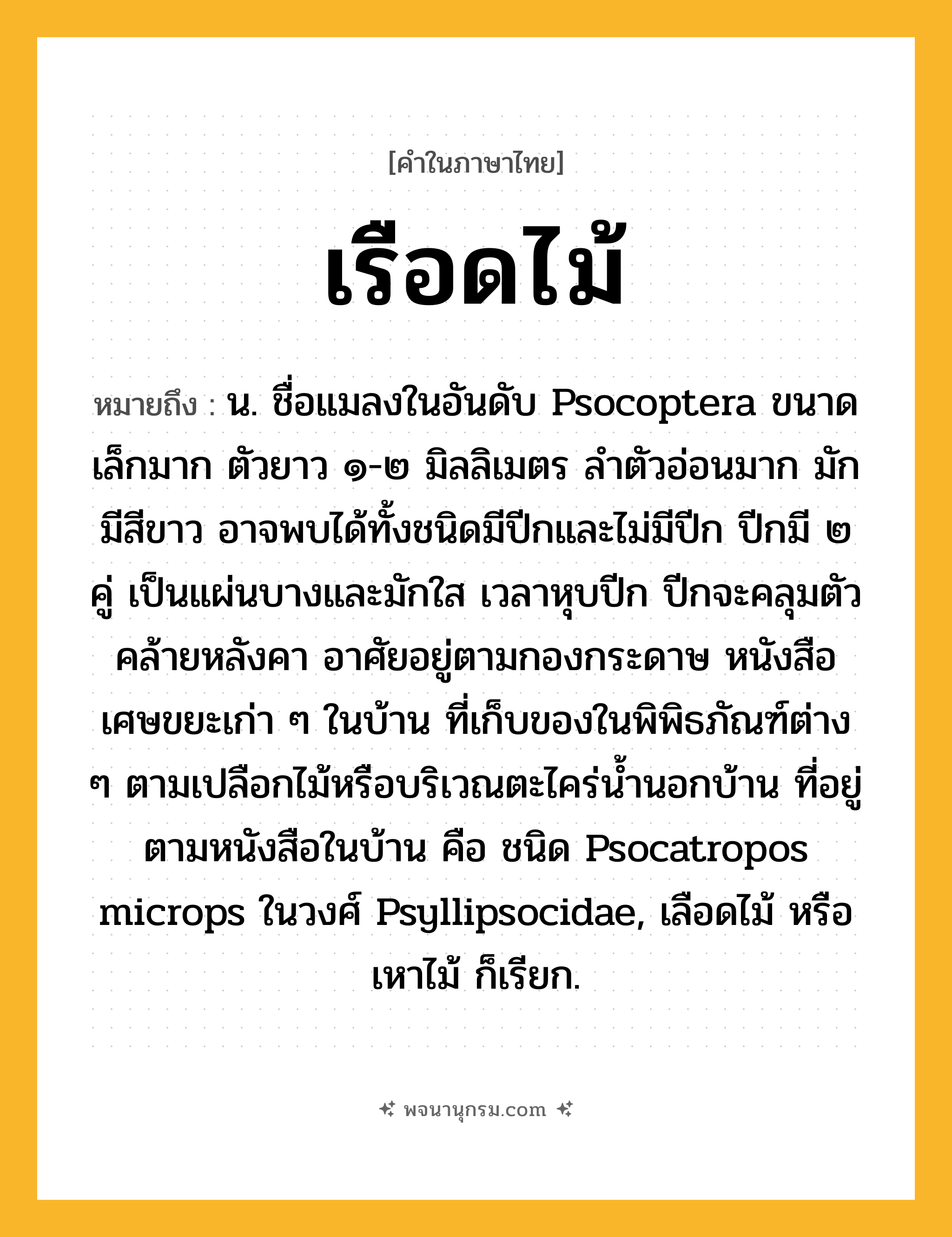เรือดไม้ ความหมาย หมายถึงอะไร?, คำในภาษาไทย เรือดไม้ หมายถึง น. ชื่อแมลงในอันดับ Psocoptera ขนาดเล็กมาก ตัวยาว ๑-๒ มิลลิเมตร ลําตัวอ่อนมาก มักมีสีขาว อาจพบได้ทั้งชนิดมีปีกและไม่มีปีก ปีกมี ๒ คู่ เป็นแผ่นบางและมักใส เวลาหุบปีก ปีกจะคลุมตัวคล้ายหลังคา อาศัยอยู่ตามกองกระดาษ หนังสือ เศษขยะเก่า ๆ ในบ้าน ที่เก็บของในพิพิธภัณฑ์ต่าง ๆ ตามเปลือกไม้หรือบริเวณตะไคร่นํ้านอกบ้าน ที่อยู่ตามหนังสือในบ้าน คือ ชนิด Psocatropos microps ในวงศ์ Psyllipsocidae, เลือดไม้ หรือ เหาไม้ ก็เรียก.