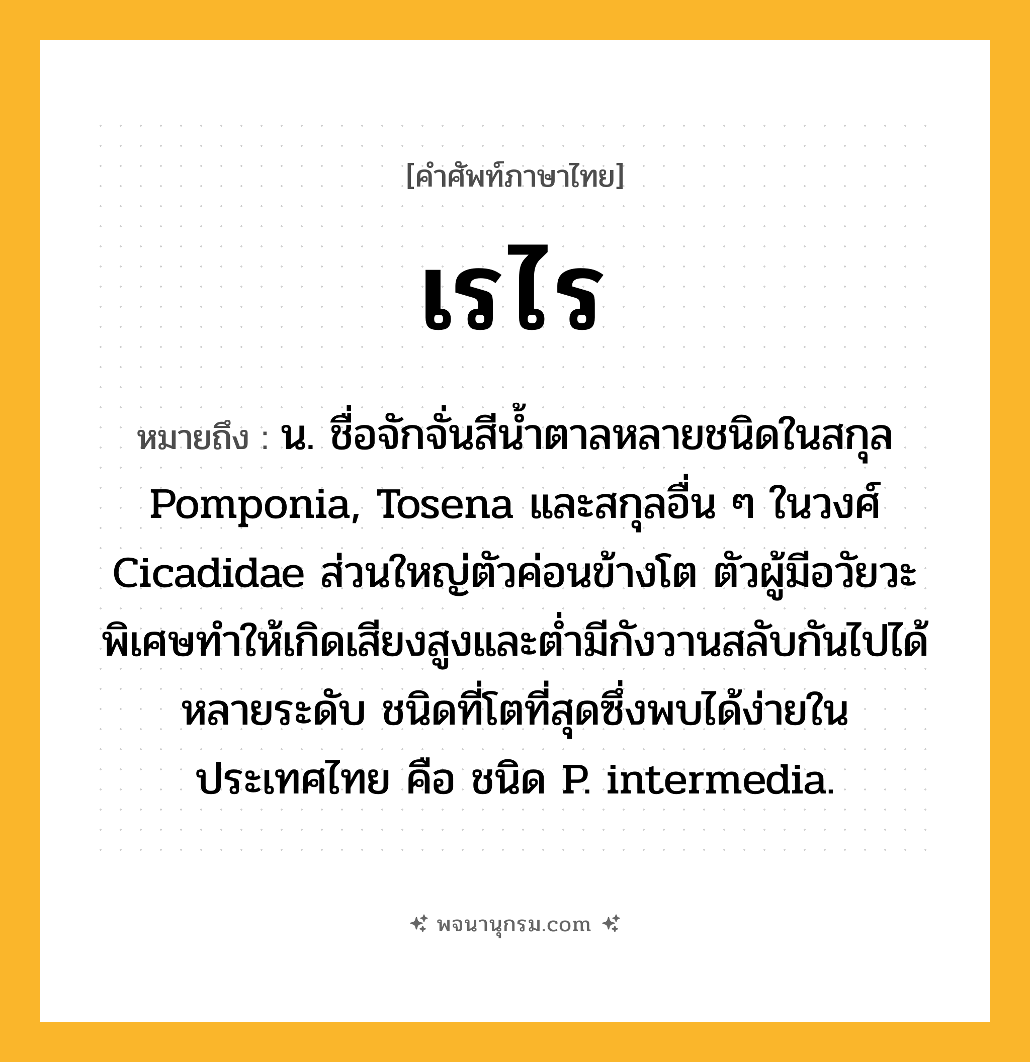 เรไร ความหมาย หมายถึงอะไร?, คำในภาษาไทย เรไร หมายถึง น. ชื่อจักจั่นสีนํ้าตาลหลายชนิดในสกุล Pomponia, Tosena และสกุลอื่น ๆ ในวงศ์ Cicadidae ส่วนใหญ่ตัวค่อนข้างโต ตัวผู้มีอวัยวะพิเศษทําให้เกิดเสียงสูงและตํ่ามีกังวานสลับกันไปได้หลายระดับ ชนิดที่โตที่สุดซึ่งพบได้ง่ายในประเทศไทย คือ ชนิด P. intermedia.