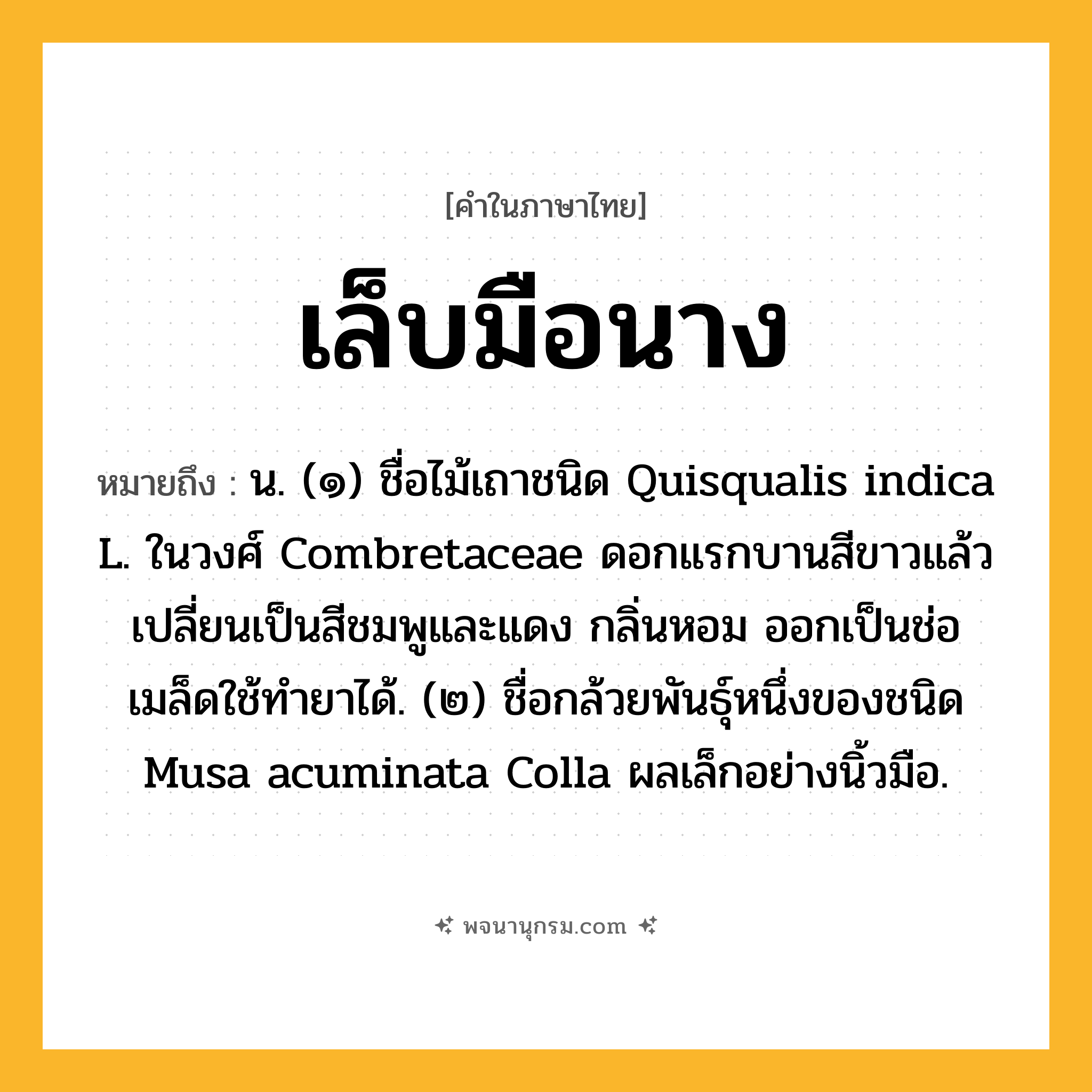 เล็บมือนาง ความหมาย หมายถึงอะไร?, คำในภาษาไทย เล็บมือนาง หมายถึง น. (๑) ชื่อไม้เถาชนิด Quisqualis indica L. ในวงศ์ Combretaceae ดอกแรกบานสีขาวแล้วเปลี่ยนเป็นสีชมพูและแดง กลิ่นหอม ออกเป็นช่อ เมล็ดใช้ทํายาได้. (๒) ชื่อกล้วยพันธุ์หนึ่งของชนิด Musa acuminata Colla ผลเล็กอย่างนิ้วมือ.