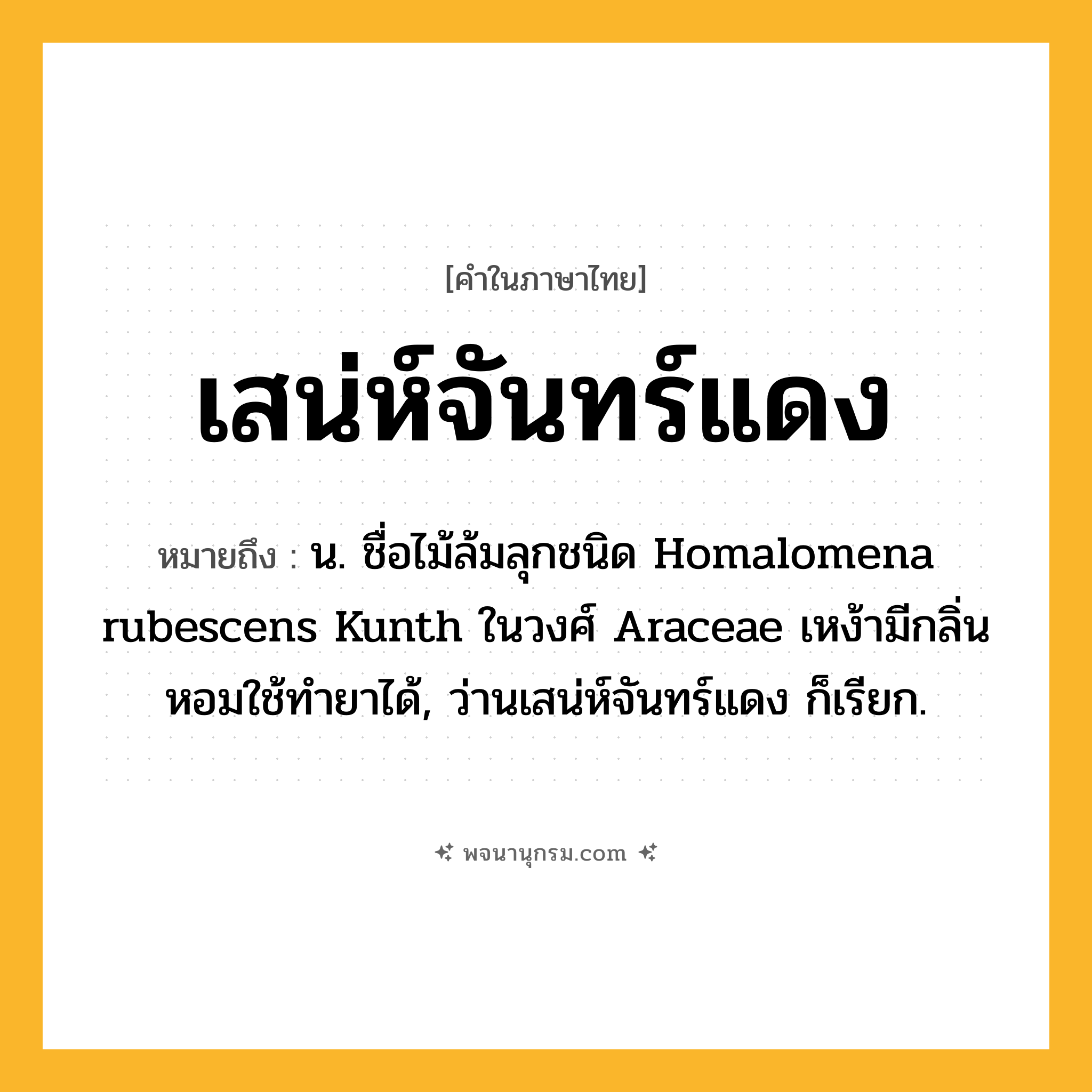 เสน่ห์จันทร์แดง ความหมาย หมายถึงอะไร?, คำในภาษาไทย เสน่ห์จันทร์แดง หมายถึง น. ชื่อไม้ล้มลุกชนิด Homalomena rubescens Kunth ในวงศ์ Araceae เหง้ามีกลิ่นหอมใช้ทํายาได้, ว่านเสน่ห์จันทร์แดง ก็เรียก.