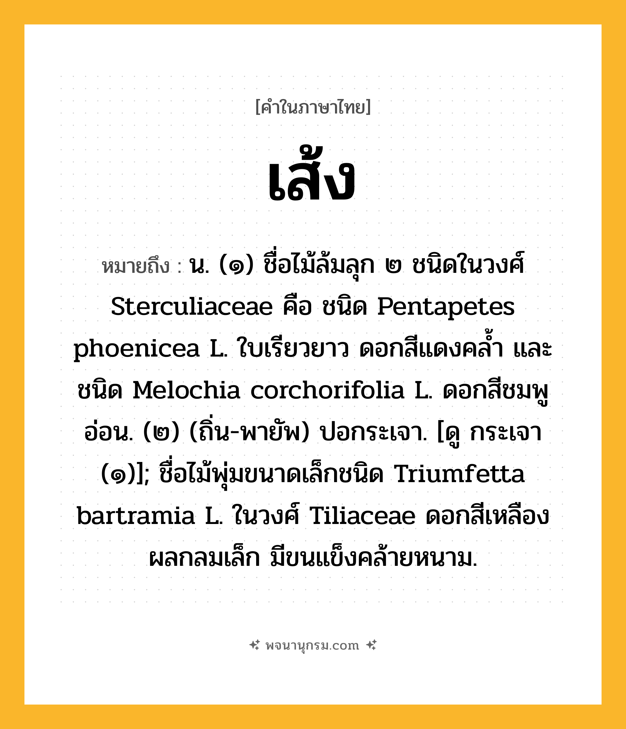 เส้ง ความหมาย หมายถึงอะไร?, คำในภาษาไทย เส้ง หมายถึง น. (๑) ชื่อไม้ล้มลุก ๒ ชนิดในวงศ์ Sterculiaceae คือ ชนิด Pentapetes phoenicea L. ใบเรียวยาว ดอกสีแดงคลํ้า และชนิด Melochia corchorifolia L. ดอกสีชมพูอ่อน. (๒) (ถิ่น-พายัพ) ปอกระเจา. [ดู กระเจา (๑)]; ชื่อไม้พุ่มขนาดเล็กชนิด Triumfetta bartramia L. ในวงศ์ Tiliaceae ดอกสีเหลือง ผลกลมเล็ก มีขนแข็งคล้ายหนาม.