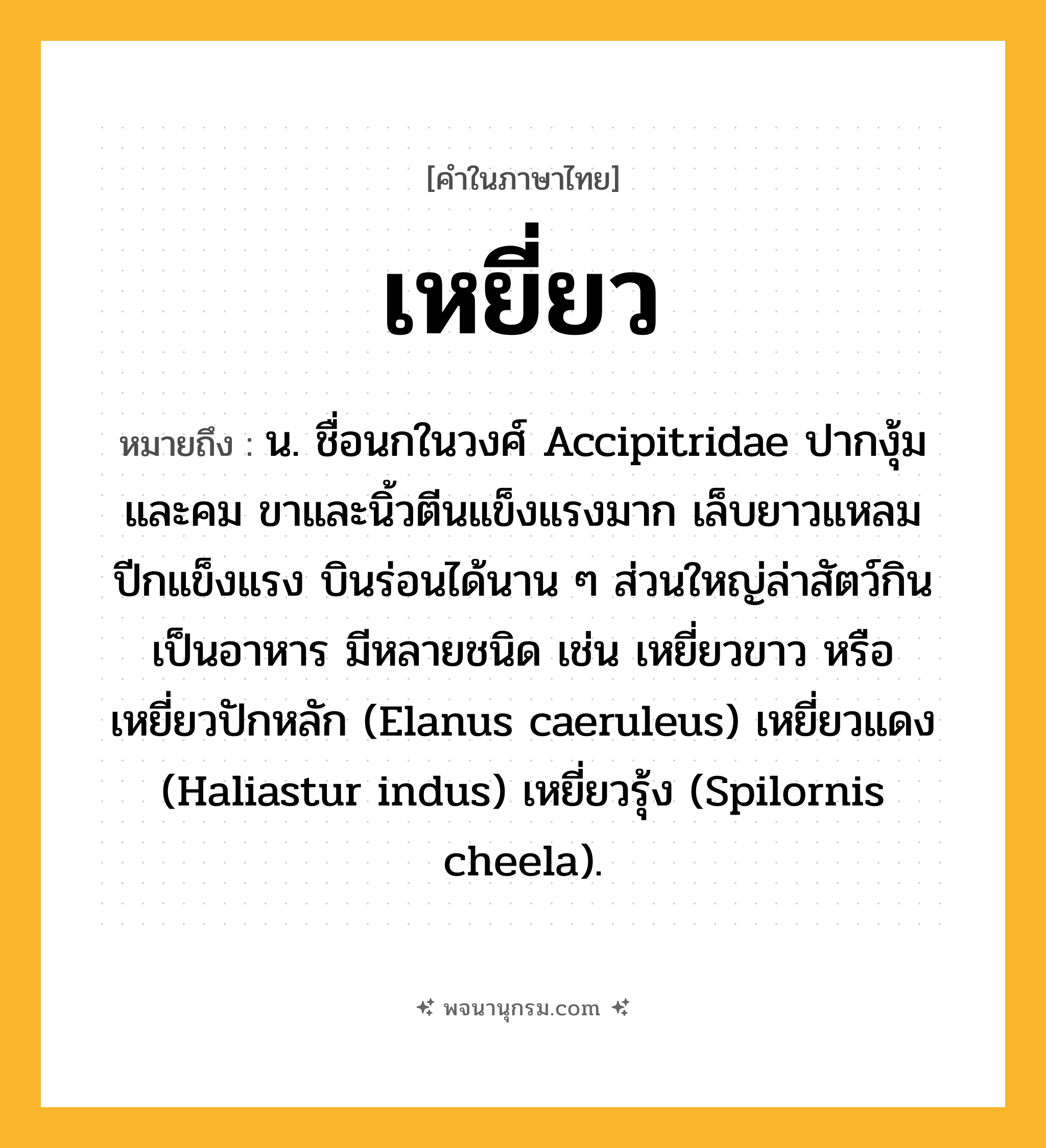 เหยี่ยว ความหมาย หมายถึงอะไร?, คำในภาษาไทย เหยี่ยว หมายถึง น. ชื่อนกในวงศ์ Accipitridae ปากงุ้มและคม ขาและนิ้วตีนแข็งแรงมาก เล็บยาวแหลม ปีกแข็งแรง บินร่อนได้นาน ๆ ส่วนใหญ่ล่าสัตว์กินเป็นอาหาร มีหลายชนิด เช่น เหยี่ยวขาว หรือ เหยี่ยวปักหลัก (Elanus caeruleus) เหยี่ยวแดง (Haliastur indus) เหยี่ยวรุ้ง (Spilornis cheela).