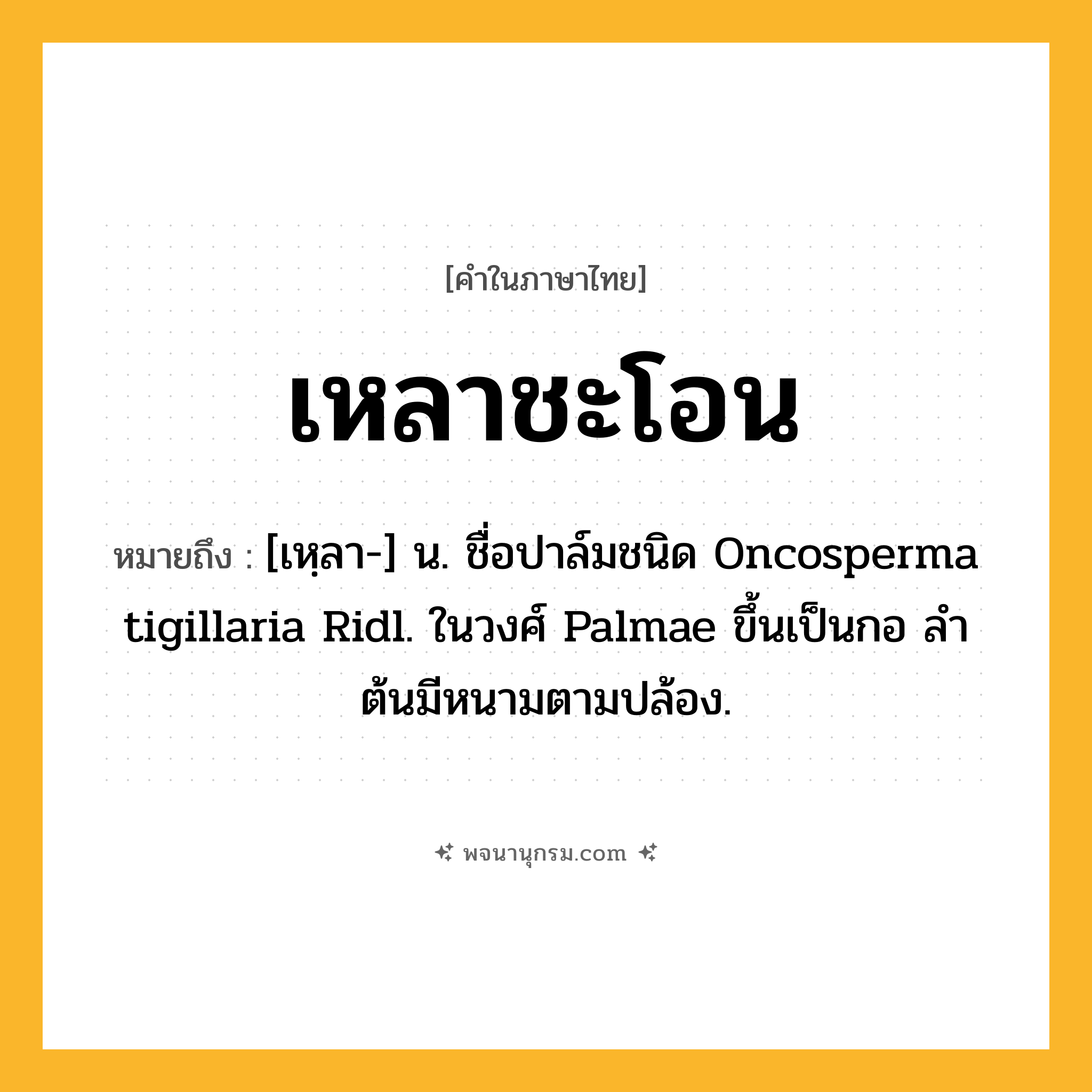 เหลาชะโอน ความหมาย หมายถึงอะไร?, คำในภาษาไทย เหลาชะโอน หมายถึง [เหฺลา-] น. ชื่อปาล์มชนิด Oncosperma tigillaria Ridl. ในวงศ์ Palmae ขึ้นเป็นกอ ลําต้นมีหนามตามปล้อง.