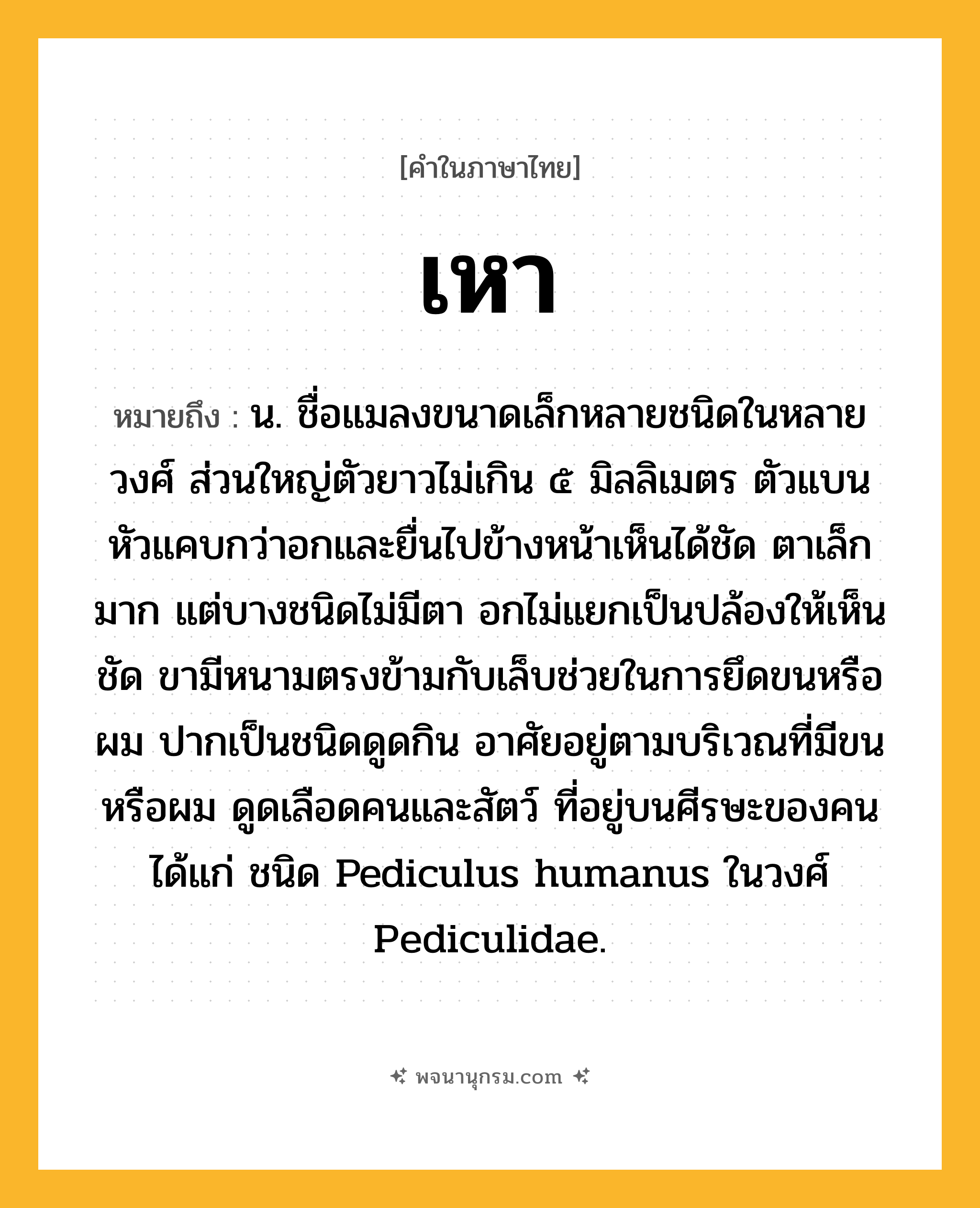 เหา ความหมาย หมายถึงอะไร?, คำในภาษาไทย เหา หมายถึง น. ชื่อแมลงขนาดเล็กหลายชนิดในหลายวงศ์ ส่วนใหญ่ตัวยาวไม่เกิน ๕ มิลลิเมตร ตัวแบน หัวแคบกว่าอกและยื่นไปข้างหน้าเห็นได้ชัด ตาเล็กมาก แต่บางชนิดไม่มีตา อกไม่แยกเป็นปล้องให้เห็นชัด ขามีหนามตรงข้ามกับเล็บช่วยในการยึดขนหรือผม ปากเป็นชนิดดูดกิน อาศัยอยู่ตามบริเวณที่มีขนหรือผม ดูดเลือดคนและสัตว์ ที่อยู่บนศีรษะของคนได้แก่ ชนิด Pediculus humanus ในวงศ์ Pediculidae.