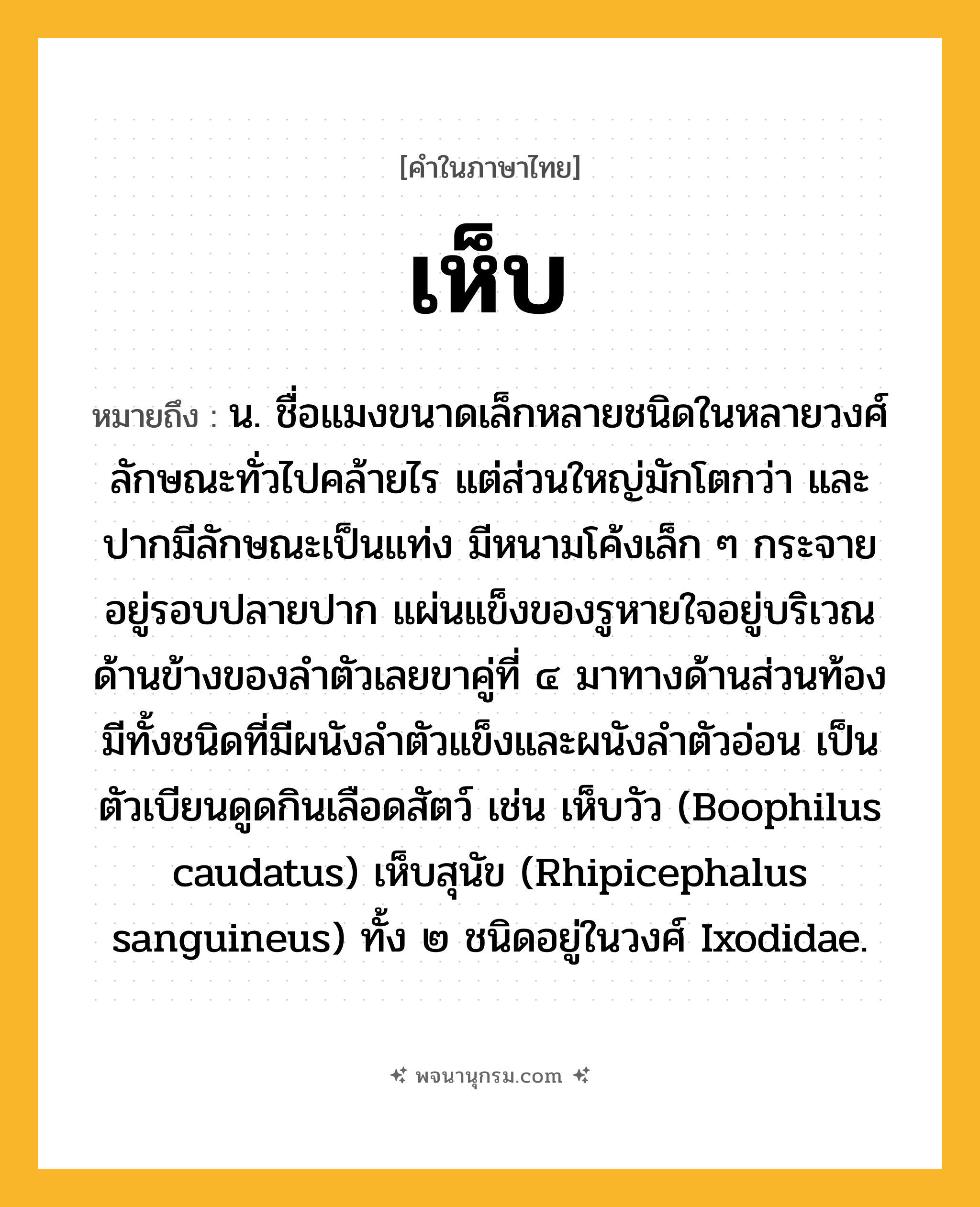 เห็บ ความหมาย หมายถึงอะไร?, คำในภาษาไทย เห็บ หมายถึง น. ชื่อแมงขนาดเล็กหลายชนิดในหลายวงศ์ ลักษณะทั่วไปคล้ายไร แต่ส่วนใหญ่มักโตกว่า และปากมีลักษณะเป็นแท่ง มีหนามโค้งเล็ก ๆ กระจายอยู่รอบปลายปาก แผ่นแข็งของรูหายใจอยู่บริเวณด้านข้างของลําตัวเลยขาคู่ที่ ๔ มาทางด้านส่วนท้อง มีทั้งชนิดที่มีผนังลําตัวแข็งและผนังลําตัวอ่อน เป็นตัวเบียนดูดกินเลือดสัตว์ เช่น เห็บวัว (Boophilus caudatus) เห็บสุนัข (Rhipicephalus sanguineus) ทั้ง ๒ ชนิดอยู่ในวงศ์ Ixodidae.