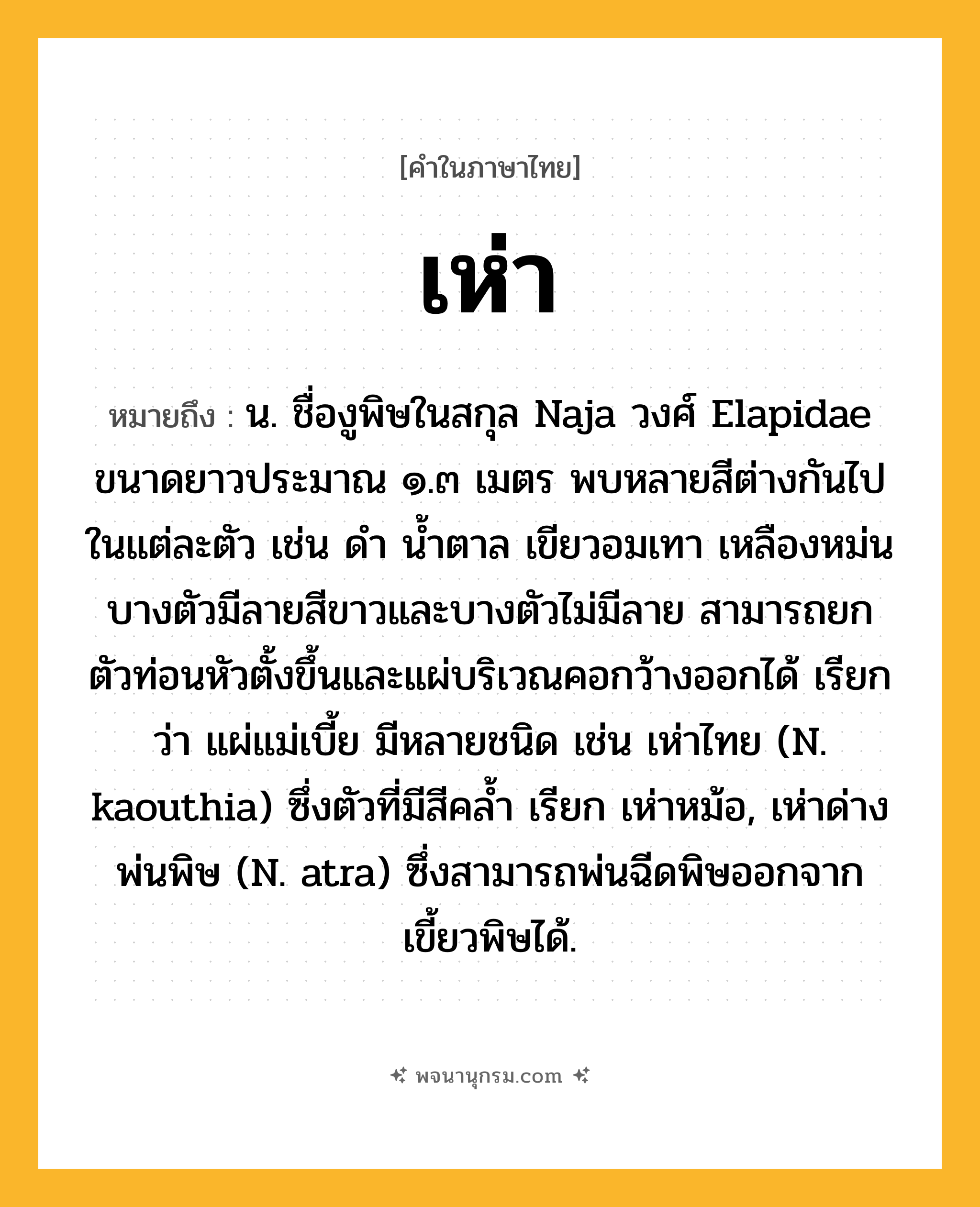 เห่า ความหมาย หมายถึงอะไร?, คำในภาษาไทย เห่า หมายถึง น. ชื่องูพิษในสกุล Naja วงศ์ Elapidae ขนาดยาวประมาณ ๑.๓ เมตร พบหลายสีต่างกันไปในแต่ละตัว เช่น ดํา นํ้าตาล เขียวอมเทา เหลืองหม่น บางตัวมีลายสีขาวและบางตัวไม่มีลาย สามารถยกตัวท่อนหัวตั้งขึ้นและแผ่บริเวณคอกว้างออกได้ เรียกว่า แผ่แม่เบี้ย มีหลายชนิด เช่น เห่าไทย (N. kaouthia) ซึ่งตัวที่มีสีคลํ้า เรียก เห่าหม้อ, เห่าด่างพ่นพิษ (N. atra) ซึ่งสามารถพ่นฉีดพิษออกจากเขี้ยวพิษได้.