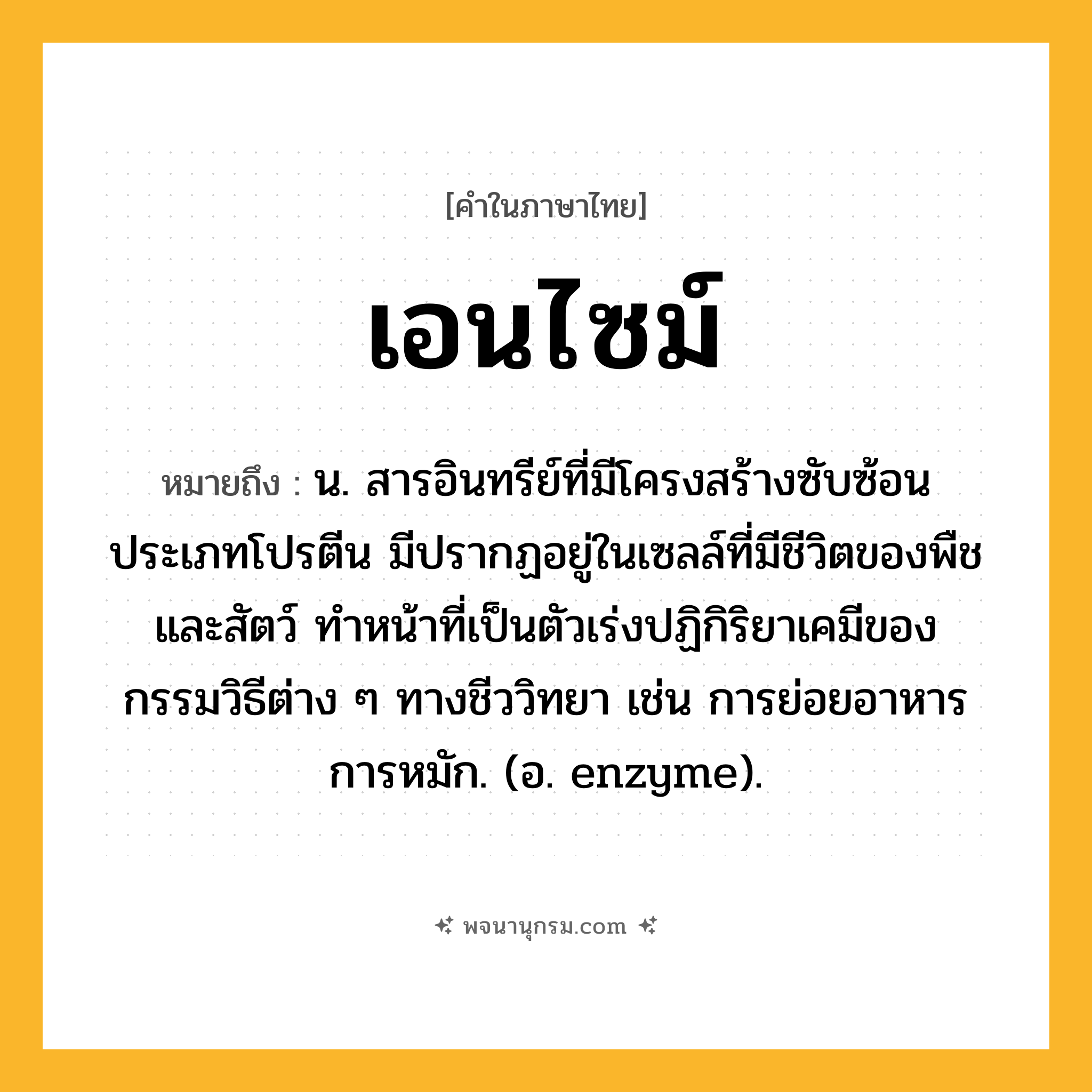 เอนไซม์ ความหมาย หมายถึงอะไร?, คำในภาษาไทย เอนไซม์ หมายถึง น. สารอินทรีย์ที่มีโครงสร้างซับซ้อนประเภทโปรตีน มีปรากฏอยู่ในเซลล์ที่มีชีวิตของพืชและสัตว์ ทําหน้าที่เป็นตัวเร่งปฏิกิริยาเคมีของกรรมวิธีต่าง ๆ ทางชีววิทยา เช่น การย่อยอาหาร การหมัก. (อ. enzyme).