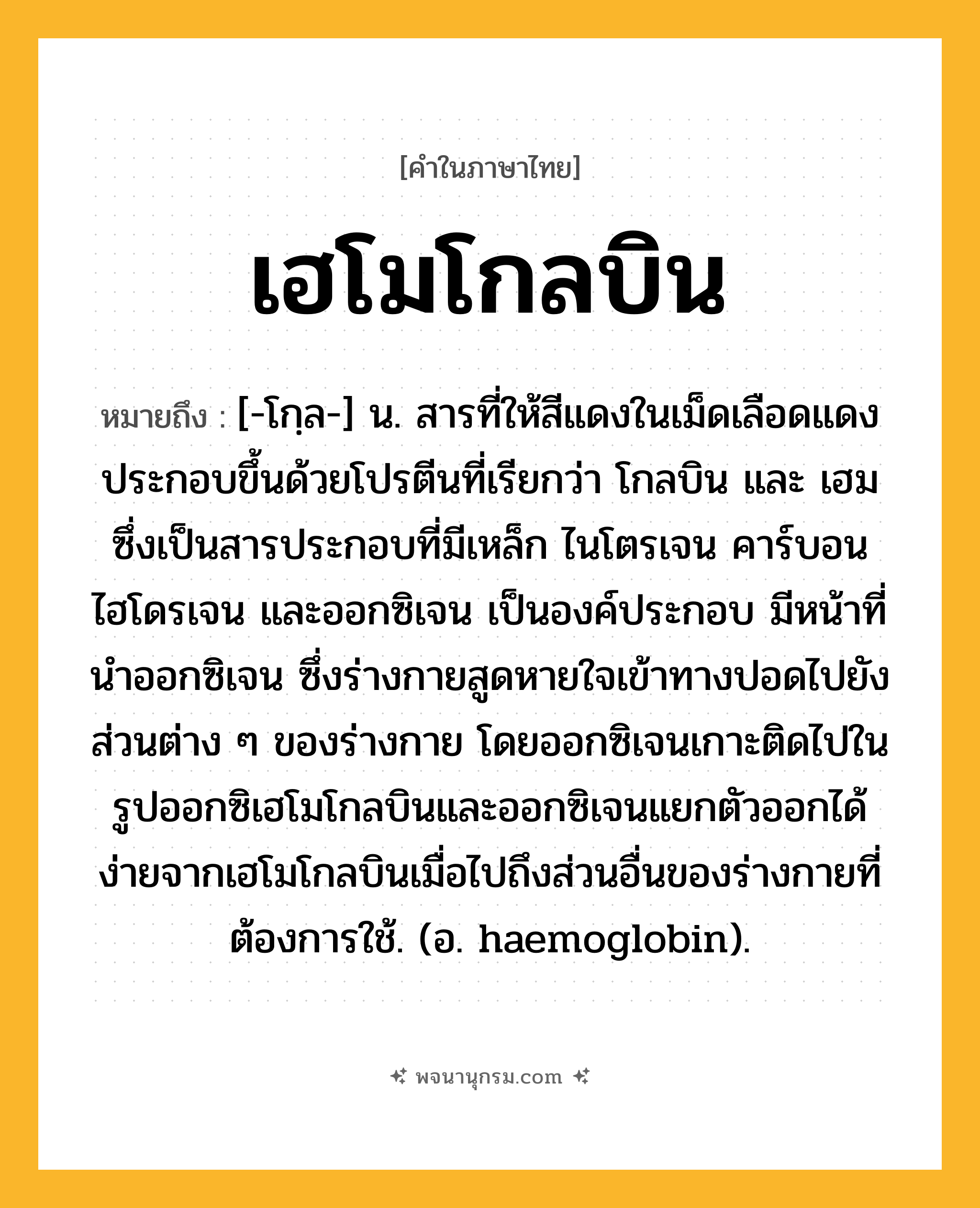 เฮโมโกลบิน ความหมาย หมายถึงอะไร?, คำในภาษาไทย เฮโมโกลบิน หมายถึง [-โกฺล-] น. สารที่ให้สีแดงในเม็ดเลือดแดง ประกอบขึ้นด้วยโปรตีนที่เรียกว่า โกลบิน และ เฮม ซึ่งเป็นสารประกอบที่มีเหล็ก ไนโตรเจน คาร์บอน ไฮโดรเจน และออกซิเจน เป็นองค์ประกอบ มีหน้าที่นําออกซิเจน ซึ่งร่างกายสูดหายใจเข้าทางปอดไปยังส่วนต่าง ๆ ของร่างกาย โดยออกซิเจนเกาะติดไปในรูปออกซิเฮโมโกลบินและออกซิเจนแยกตัวออกได้ง่ายจากเฮโมโกลบินเมื่อไปถึงส่วนอื่นของร่างกายที่ต้องการใช้. (อ. haemoglobin).