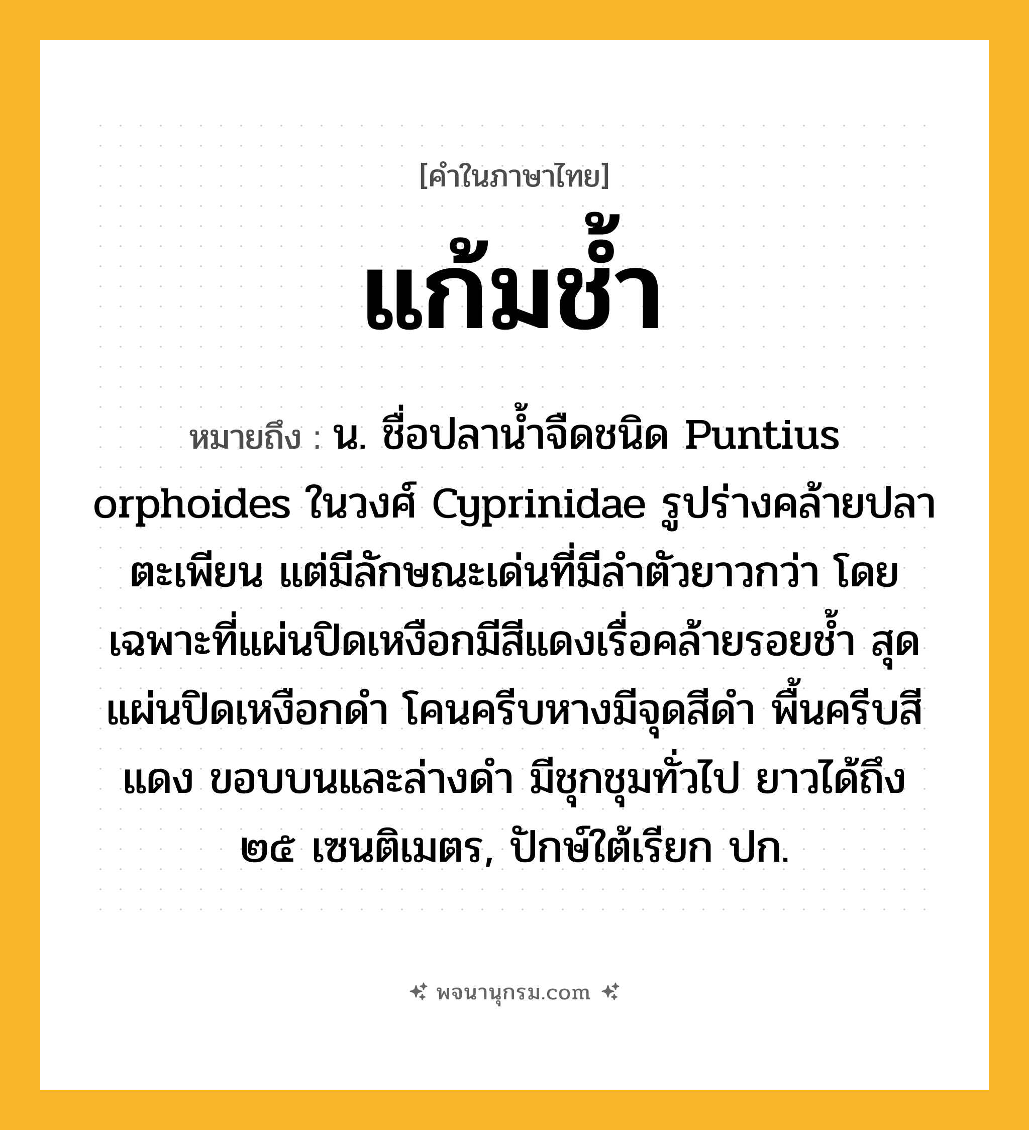 แก้มช้ำ ความหมาย หมายถึงอะไร?, คำในภาษาไทย แก้มช้ำ หมายถึง น. ชื่อปลานํ้าจืดชนิด Puntius orphoides ในวงศ์ Cyprinidae รูปร่างคล้ายปลาตะเพียน แต่มีลักษณะเด่นที่มีลําตัวยาวกว่า โดยเฉพาะที่แผ่นปิดเหงือกมีสีแดงเรื่อคล้ายรอยชํ้า สุดแผ่นปิดเหงือกดํา โคนครีบหางมีจุดสีดํา พื้นครีบสีแดง ขอบบนและล่างดํา มีชุกชุมทั่วไป ยาวได้ถึง ๒๕ เซนติเมตร, ปักษ์ใต้เรียก ปก.