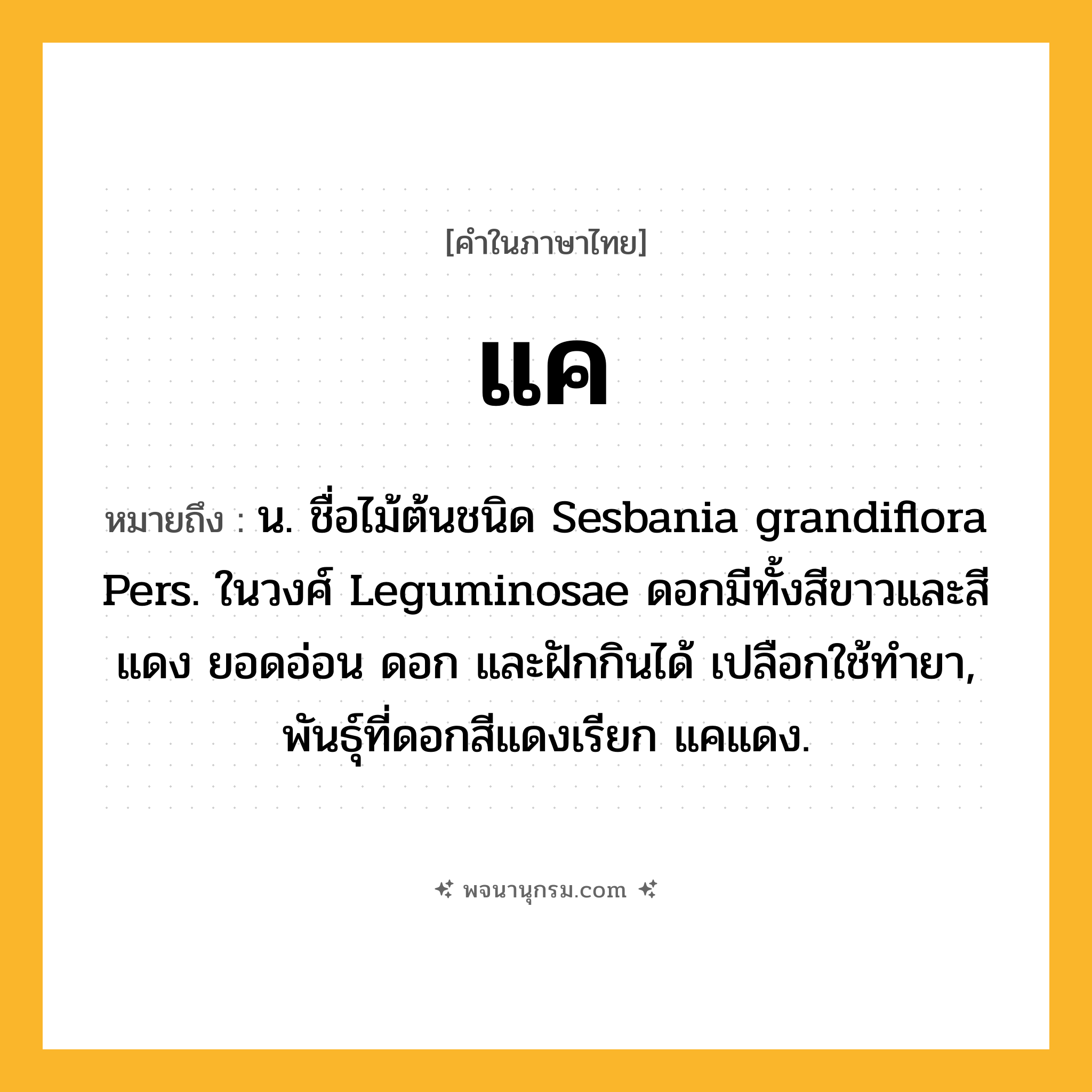 แค ความหมาย หมายถึงอะไร?, คำในภาษาไทย แค หมายถึง น. ชื่อไม้ต้นชนิด Sesbania grandiflora Pers. ในวงศ์ Leguminosae ดอกมีทั้งสีขาวและสีแดง ยอดอ่อน ดอก และฝักกินได้ เปลือกใช้ทํายา, พันธุ์ที่ดอกสีแดงเรียก แคแดง.