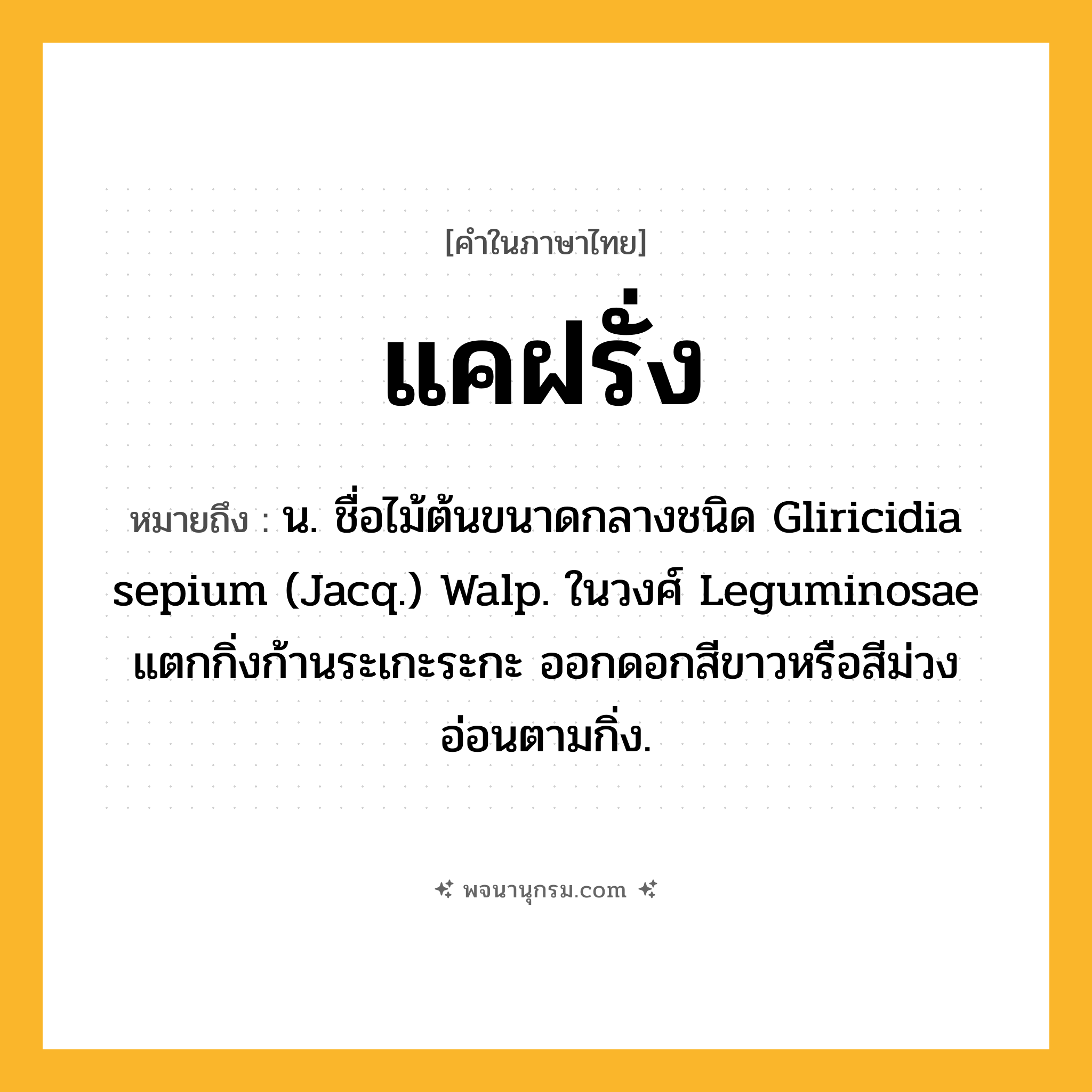 แคฝรั่ง ความหมาย หมายถึงอะไร?, คำในภาษาไทย แคฝรั่ง หมายถึง น. ชื่อไม้ต้นขนาดกลางชนิด Gliricidia sepium (Jacq.) Walp. ในวงศ์ Leguminosae แตกกิ่งก้านระเกะระกะ ออกดอกสีขาวหรือสีม่วงอ่อนตามกิ่ง.