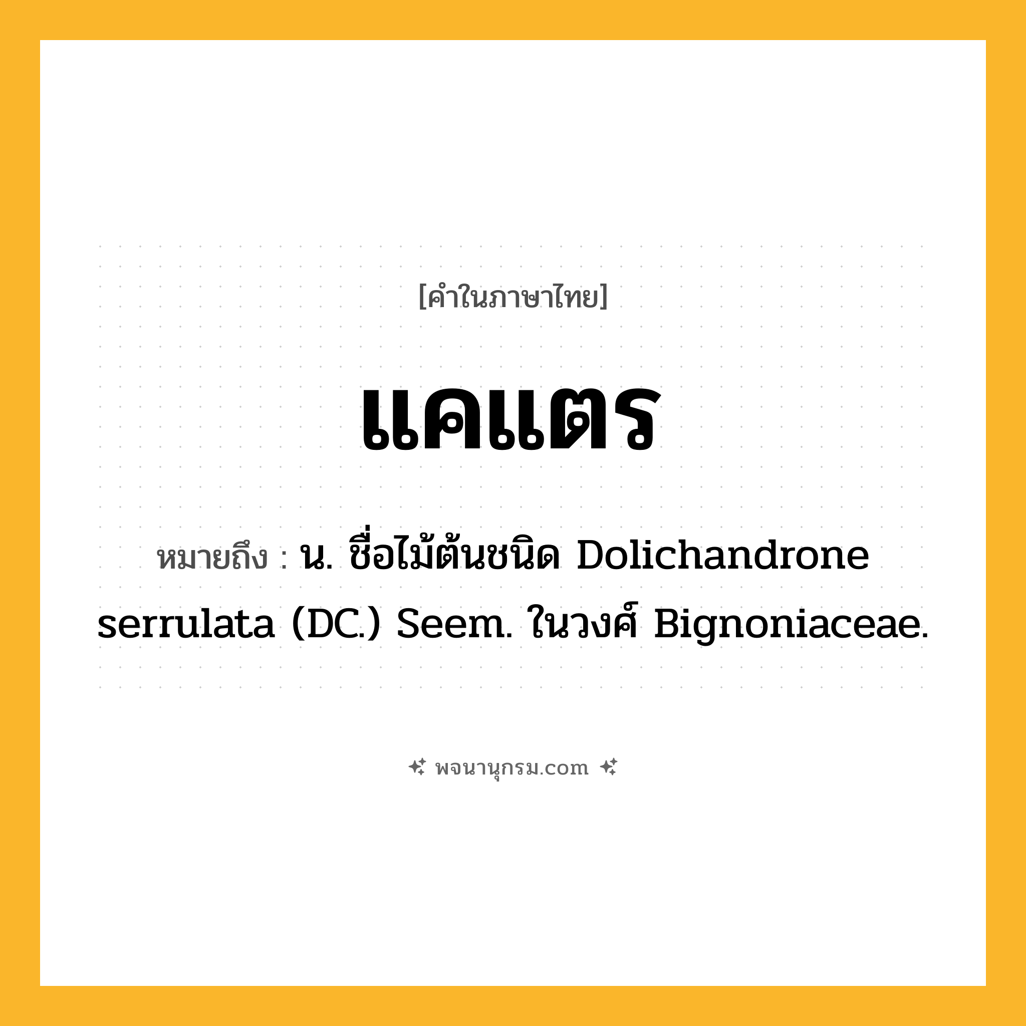 แคแตร ความหมาย หมายถึงอะไร?, คำในภาษาไทย แคแตร หมายถึง น. ชื่อไม้ต้นชนิด Dolichandrone serrulata (DC.) Seem. ในวงศ์ Bignoniaceae.
