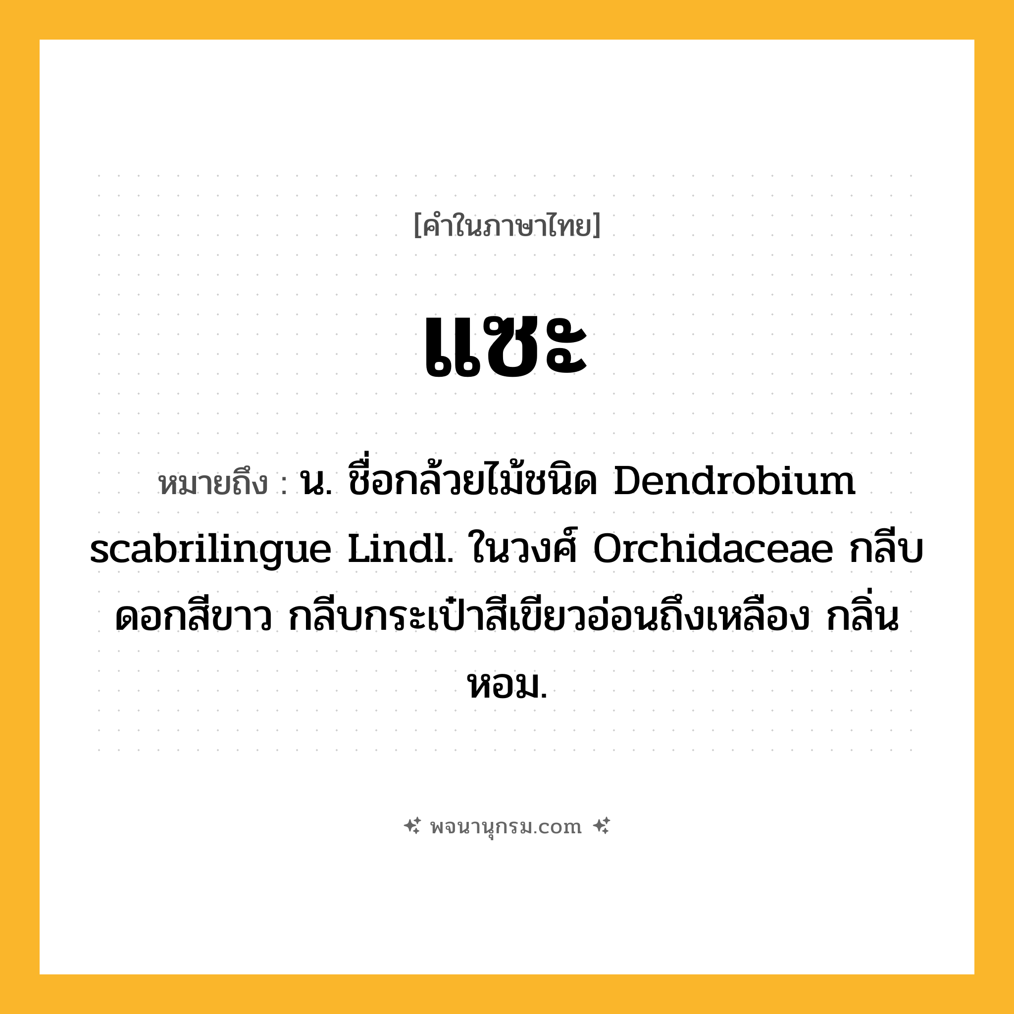 แซะ ความหมาย หมายถึงอะไร?, คำในภาษาไทย แซะ หมายถึง น. ชื่อกล้วยไม้ชนิด Dendrobium scabrilingue Lindl. ในวงศ์ Orchidaceae กลีบดอกสีขาว กลีบกระเป๋าสีเขียวอ่อนถึงเหลือง กลิ่นหอม.