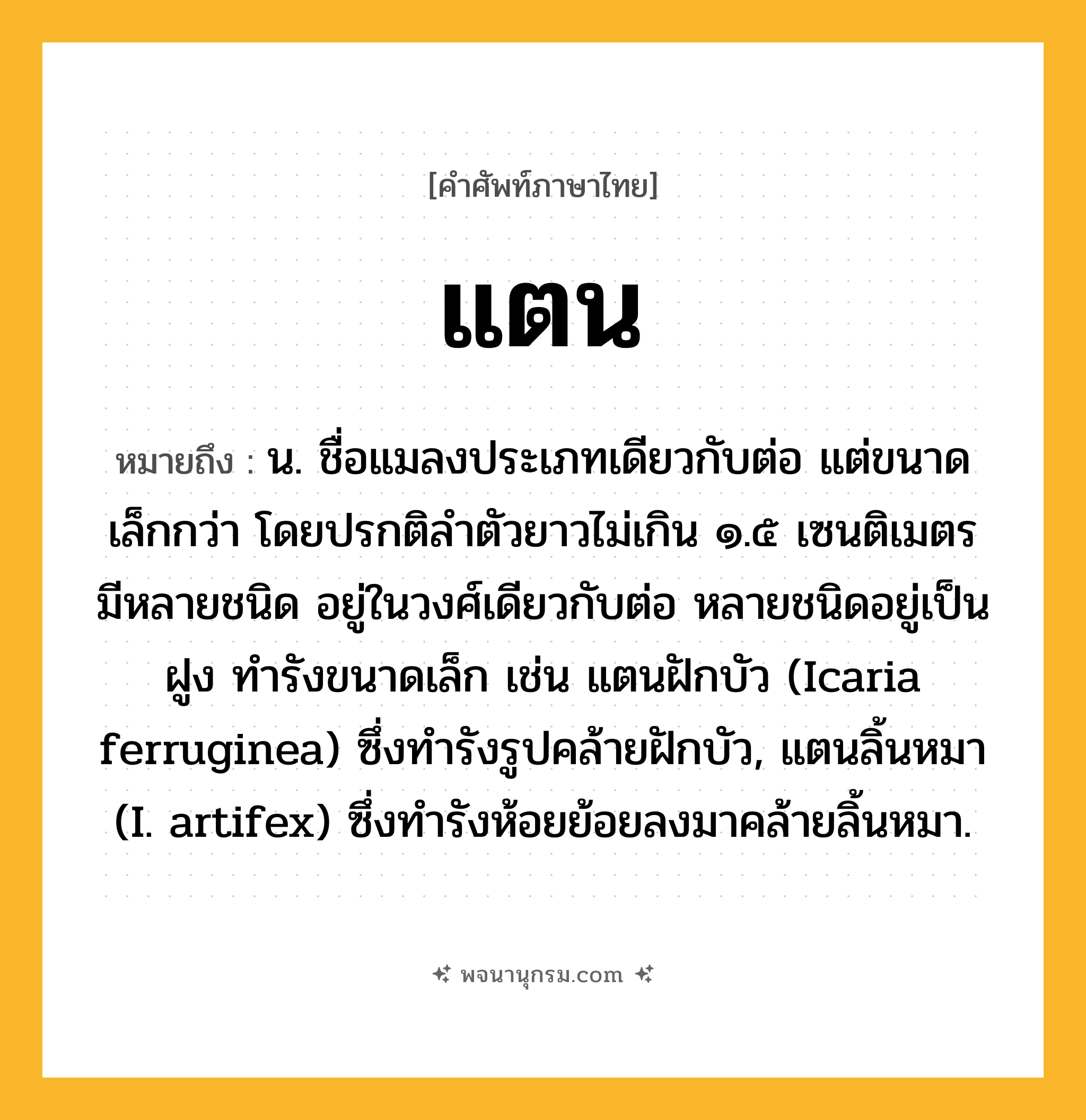 แตน ความหมาย หมายถึงอะไร?, คำในภาษาไทย แตน หมายถึง น. ชื่อแมลงประเภทเดียวกับต่อ แต่ขนาดเล็กกว่า โดยปรกติลําตัวยาวไม่เกิน ๑.๕ เซนติเมตร มีหลายชนิด อยู่ในวงศ์เดียวกับต่อ หลายชนิดอยู่เป็นฝูง ทํารังขนาดเล็ก เช่น แตนฝักบัว (Icaria ferruginea) ซึ่งทํารังรูปคล้ายฝักบัว, แตนลิ้นหมา (I. artifex) ซึ่งทํารังห้อยย้อยลงมาคล้ายลิ้นหมา.