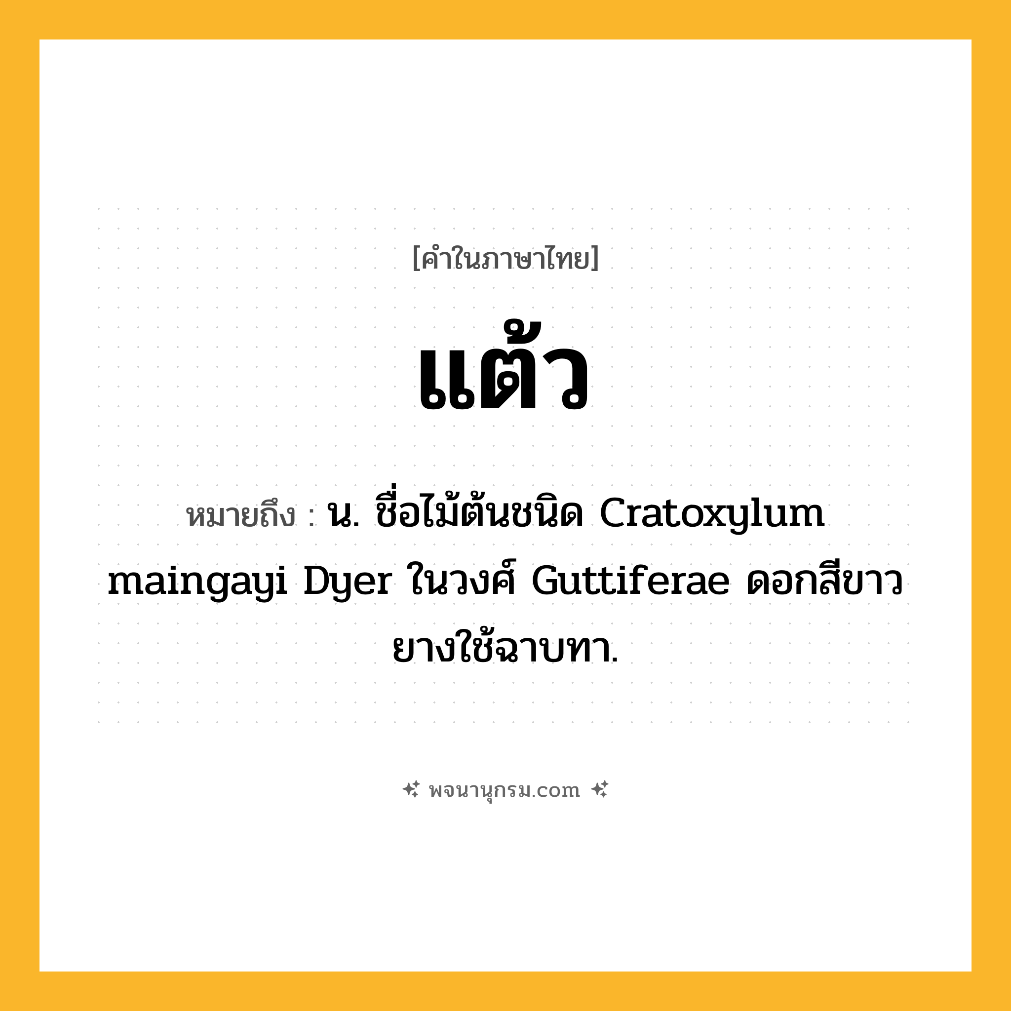 แต้ว ความหมาย หมายถึงอะไร?, คำในภาษาไทย แต้ว หมายถึง น. ชื่อไม้ต้นชนิด Cratoxylum maingayi Dyer ในวงศ์ Guttiferae ดอกสีขาว ยางใช้ฉาบทา.