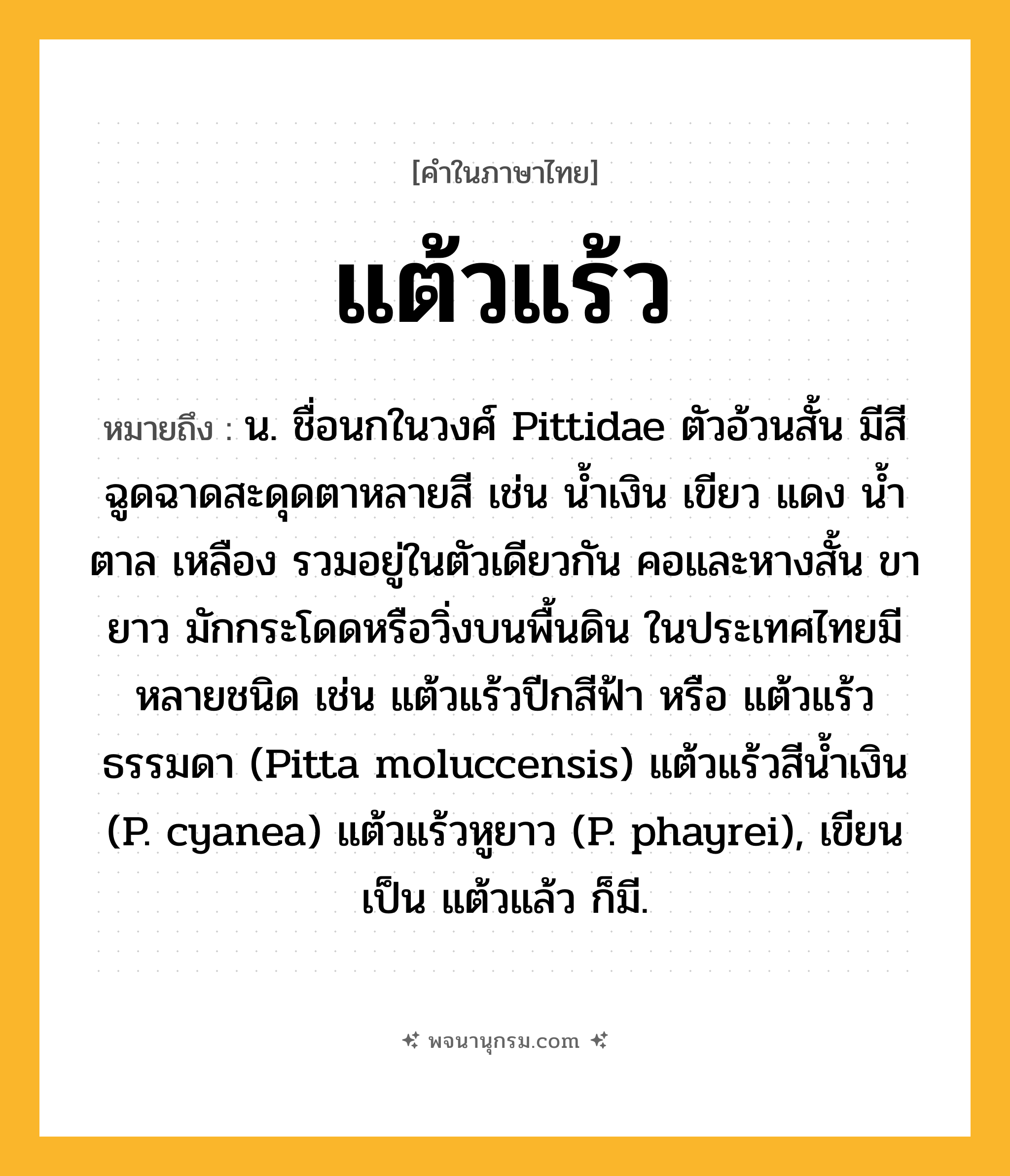แต้วแร้ว ความหมาย หมายถึงอะไร?, คำในภาษาไทย แต้วแร้ว หมายถึง น. ชื่อนกในวงศ์ Pittidae ตัวอ้วนสั้น มีสีฉูดฉาดสะดุดตาหลายสี เช่น นํ้าเงิน เขียว แดง นํ้าตาล เหลือง รวมอยู่ในตัวเดียวกัน คอและหางสั้น ขายาว มักกระโดดหรือวิ่งบนพื้นดิน ในประเทศไทยมีหลายชนิด เช่น แต้วแร้วปีกสีฟ้า หรือ แต้วแร้วธรรมดา (Pitta moluccensis) แต้วแร้วสีนํ้าเงิน (P. cyanea) แต้วแร้วหูยาว (P. phayrei), เขียนเป็น แต้วแล้ว ก็มี.