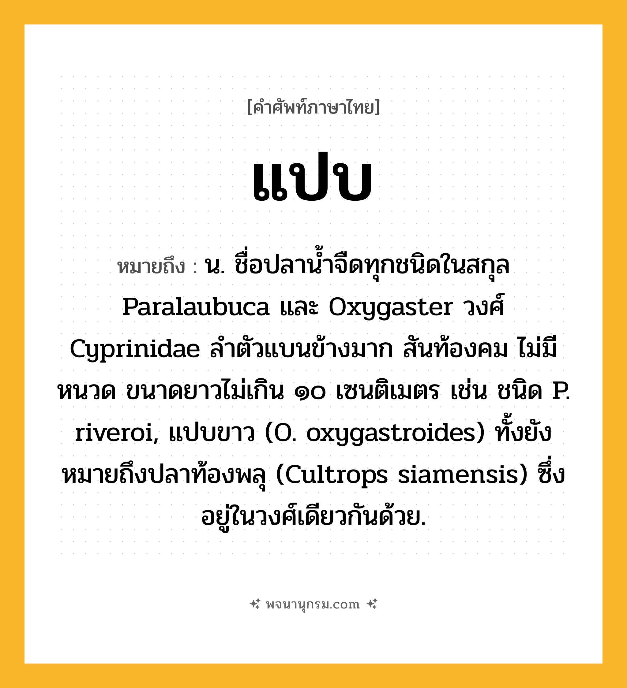 แปบ ความหมาย หมายถึงอะไร?, คำในภาษาไทย แปบ หมายถึง น. ชื่อปลานํ้าจืดทุกชนิดในสกุล Paralaubuca และ Oxygaster วงศ์ Cyprinidae ลําตัวแบนข้างมาก สันท้องคม ไม่มีหนวด ขนาดยาวไม่เกิน ๑๐ เซนติเมตร เช่น ชนิด P. riveroi, แปบขาว (O. oxygastroides) ทั้งยังหมายถึงปลาท้องพลุ (Cultrops siamensis) ซึ่งอยู่ในวงศ์เดียวกันด้วย.