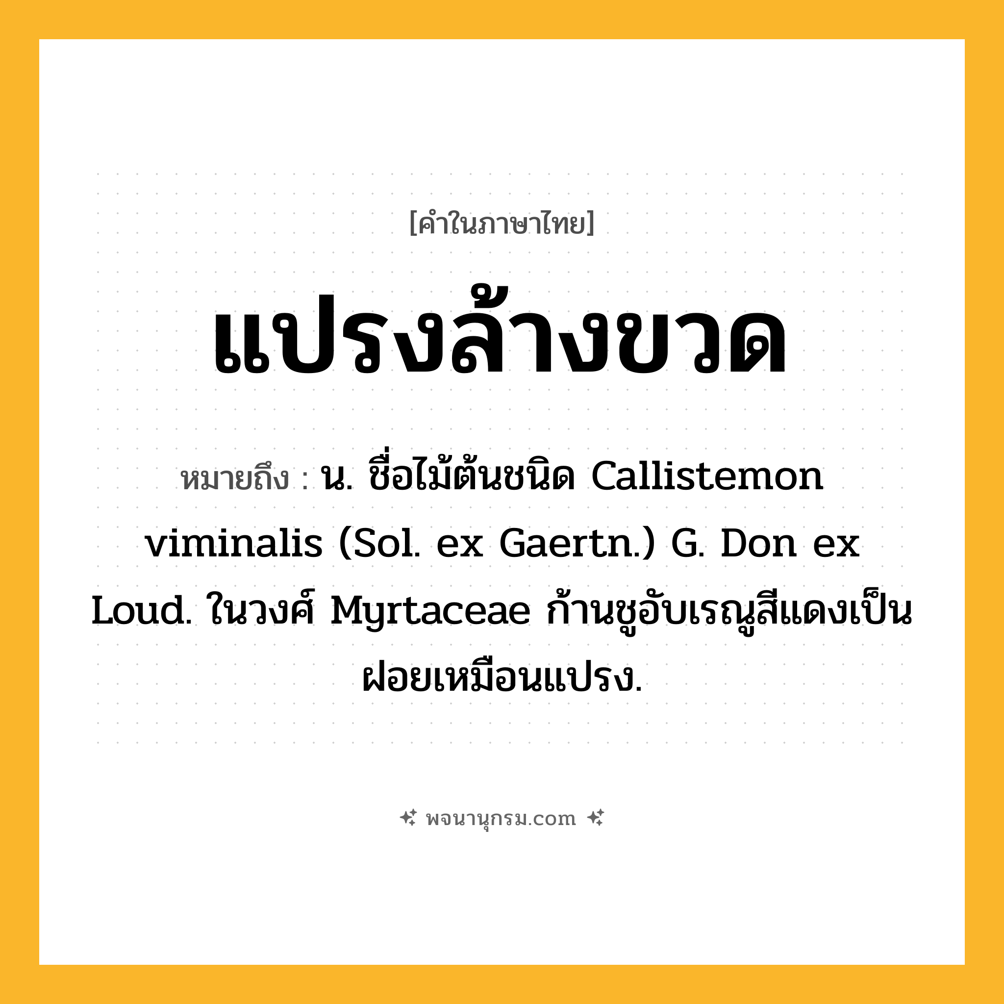 แปรงล้างขวด ความหมาย หมายถึงอะไร?, คำในภาษาไทย แปรงล้างขวด หมายถึง น. ชื่อไม้ต้นชนิด Callistemon viminalis (Sol. ex Gaertn.) G. Don ex Loud. ในวงศ์ Myrtaceae ก้านชูอับเรณูสีแดงเป็นฝอยเหมือนแปรง.