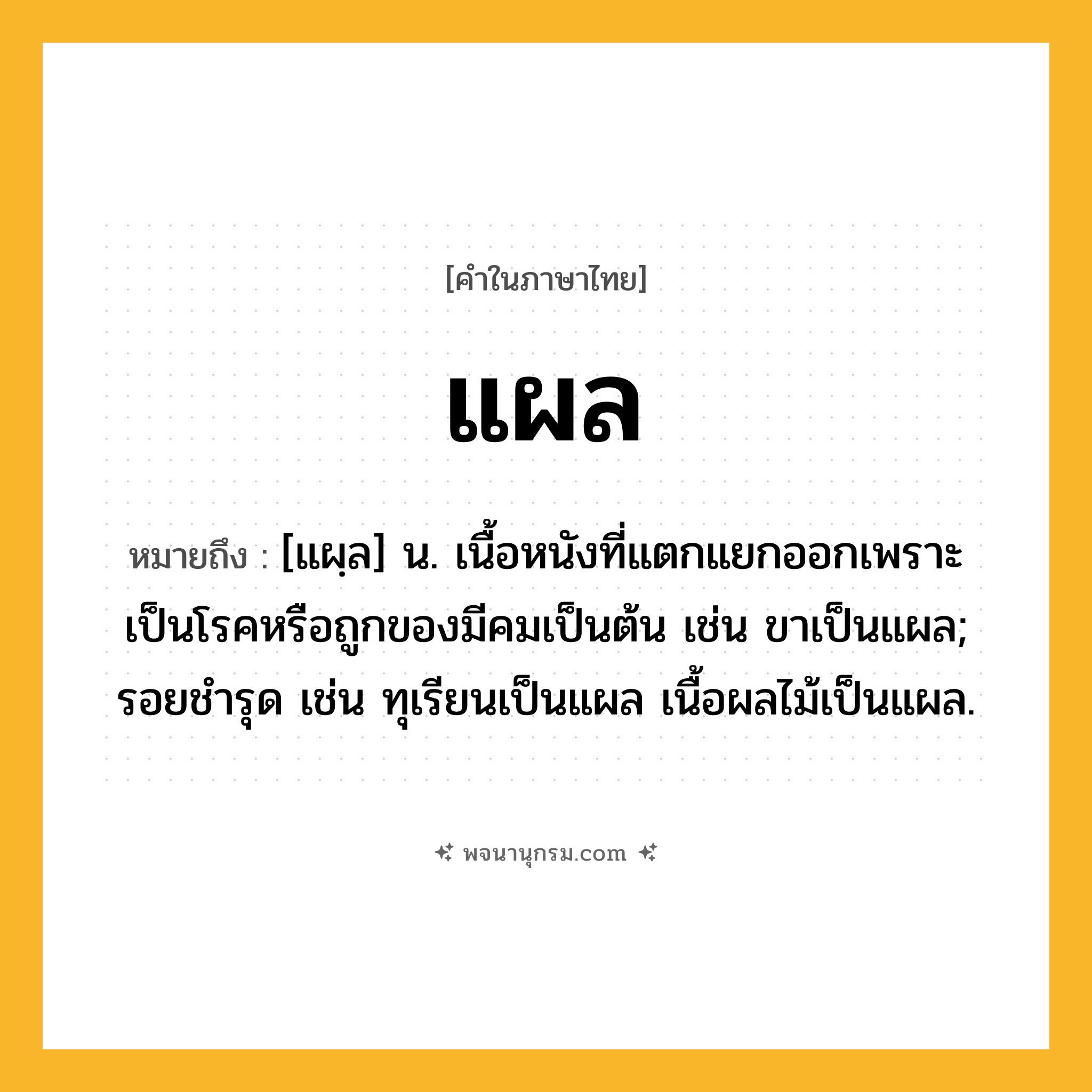 แผล ความหมาย หมายถึงอะไร?, คำในภาษาไทย แผล หมายถึง [แผฺล] น. เนื้อหนังที่แตกแยกออกเพราะเป็นโรคหรือถูกของมีคมเป็นต้น เช่น ขาเป็นแผล; รอยชํารุด เช่น ทุเรียนเป็นแผล เนื้อผลไม้เป็นแผล.