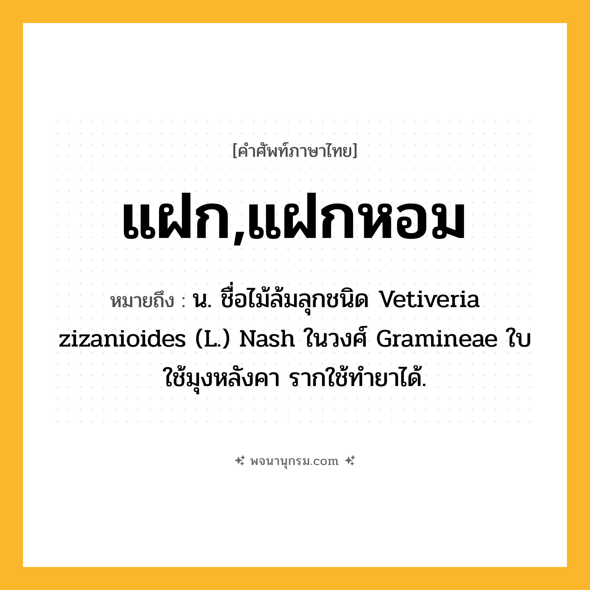 แฝก,แฝกหอม ความหมาย หมายถึงอะไร?, คำในภาษาไทย แฝก,แฝกหอม หมายถึง น. ชื่อไม้ล้มลุกชนิด Vetiveria zizanioides (L.) Nash ในวงศ์ Gramineae ใบใช้มุงหลังคา รากใช้ทํายาได้.
