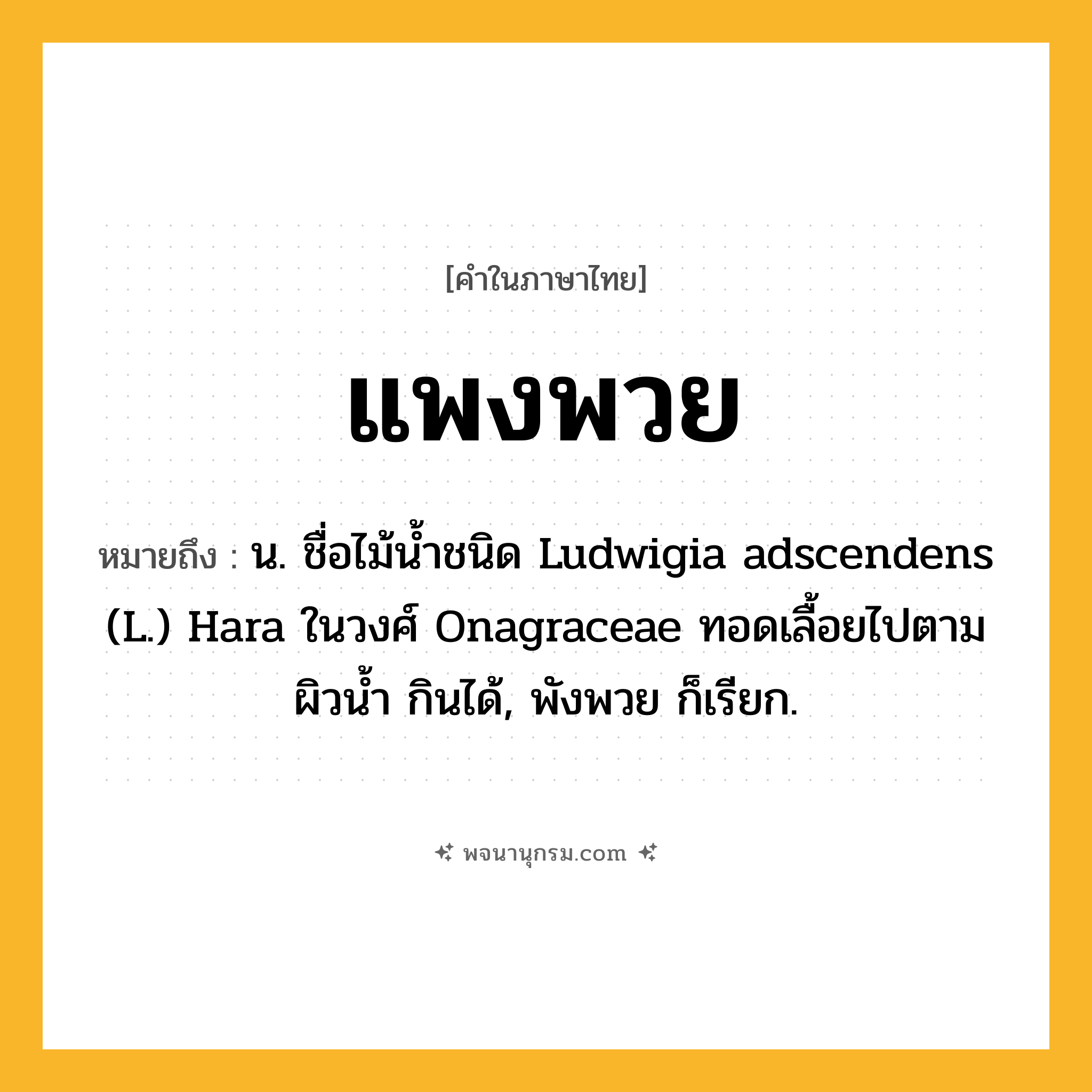 แพงพวย ความหมาย หมายถึงอะไร?, คำในภาษาไทย แพงพวย หมายถึง น. ชื่อไม้นํ้าชนิด Ludwigia adscendens (L.) Hara ในวงศ์ Onagraceae ทอดเลื้อยไปตามผิวนํ้า กินได้, พังพวย ก็เรียก.