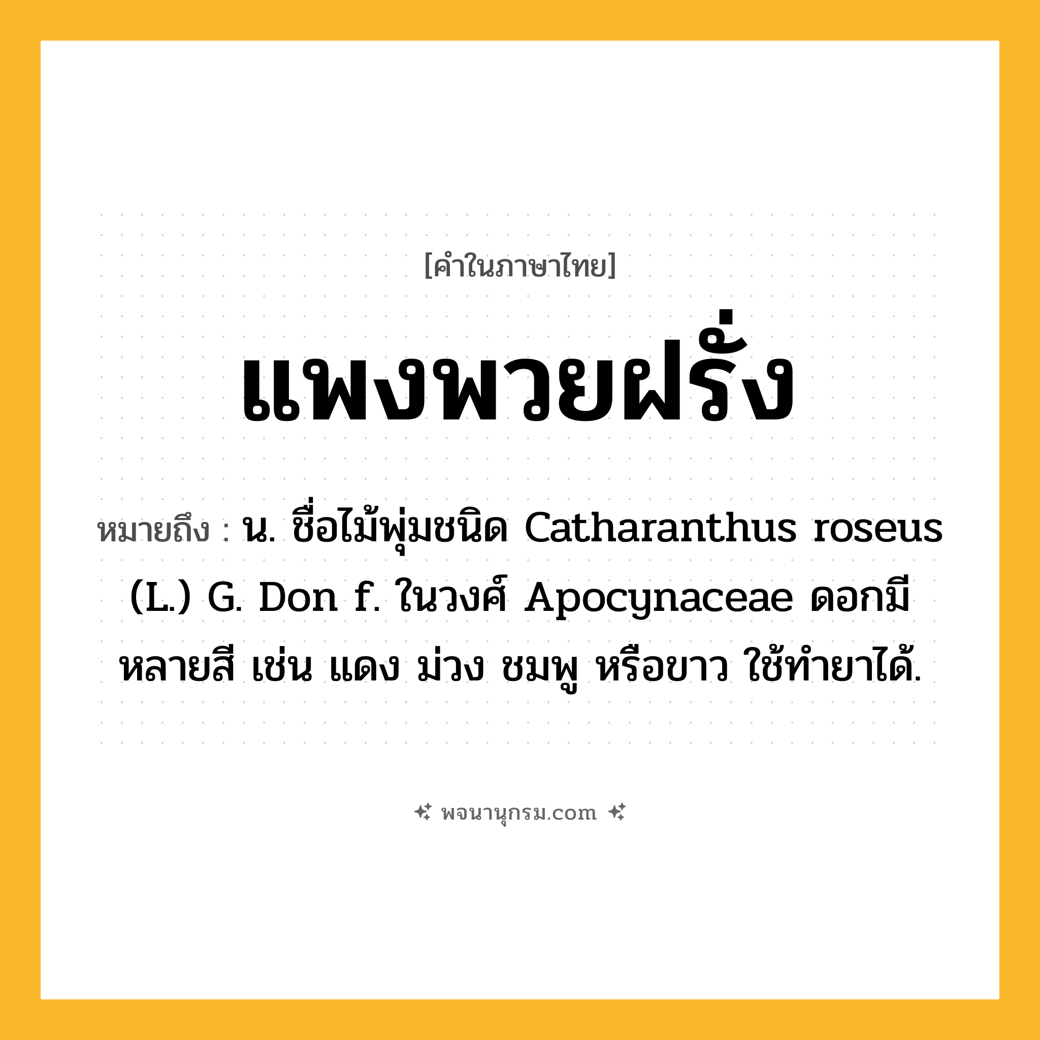 แพงพวยฝรั่ง ความหมาย หมายถึงอะไร?, คำในภาษาไทย แพงพวยฝรั่ง หมายถึง น. ชื่อไม้พุ่มชนิด Catharanthus roseus (L.) G. Don f. ในวงศ์ Apocynaceae ดอกมีหลายสี เช่น แดง ม่วง ชมพู หรือขาว ใช้ทํายาได้.